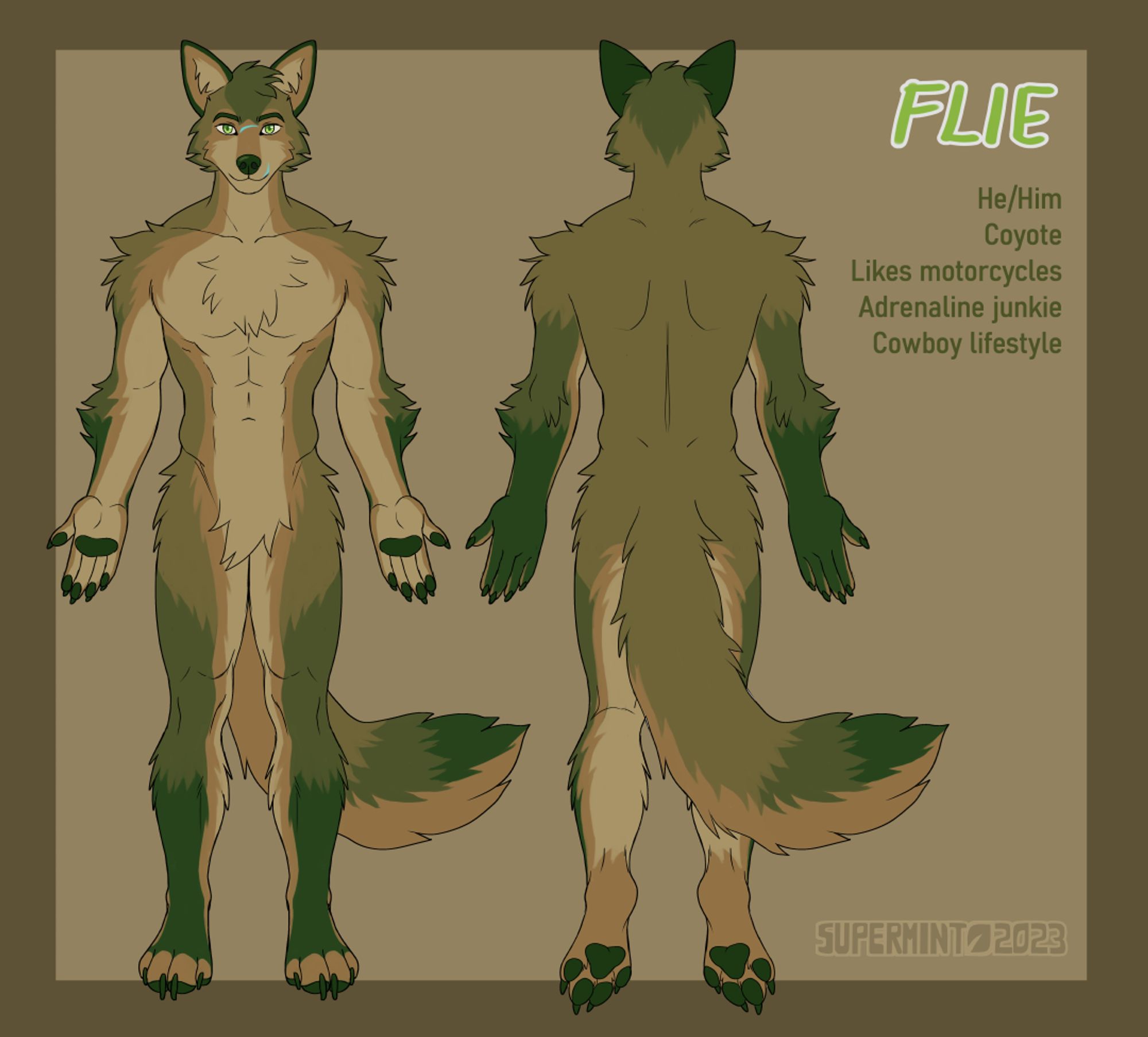 A reference sheet of a male furry coyote character design with a military green and tan color scheme