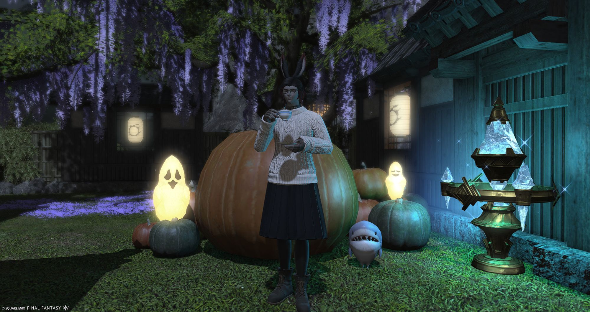 A Viera standing in front of a Pumpkin patch. They are wearing black boots, a black skirt with leggings, and a white sweater. They are drinking a cup of tea and smiling at the camera.