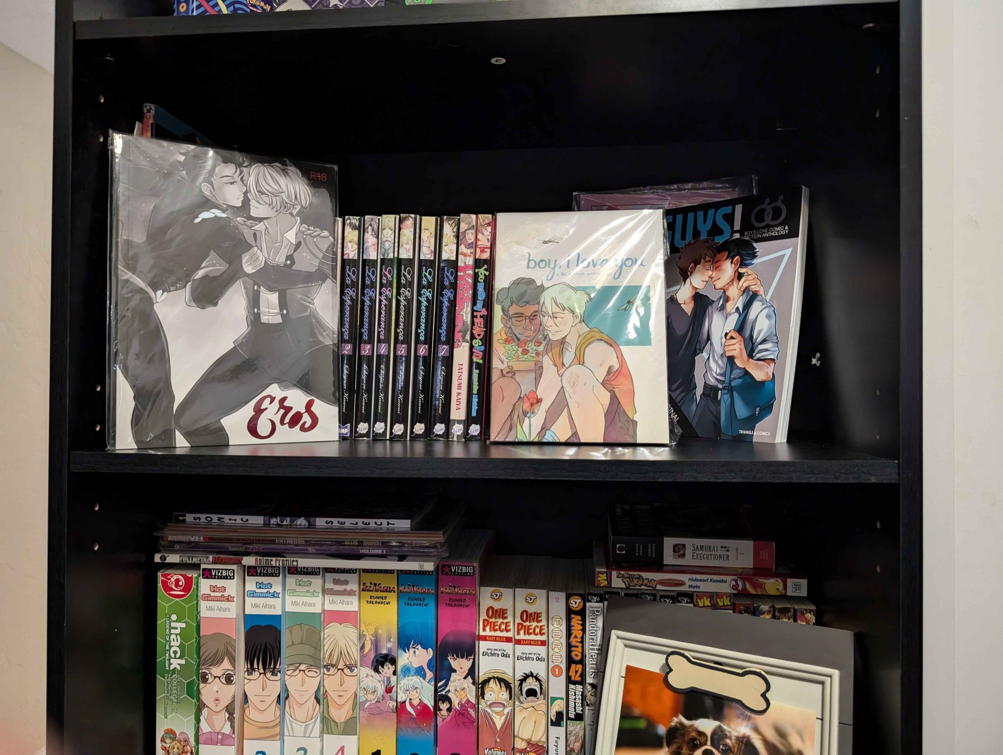 my manga / BL collection w/ some kickstarer pieces + a picture of my dog