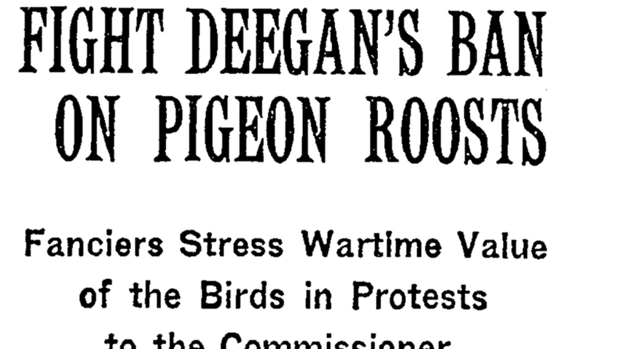 NYT Headline: FIGHT DEEGAN'S BAN ON PIGEON ROOSTS Fanciers Stress Wartime Value of the Birds in Protests to the Commissioner