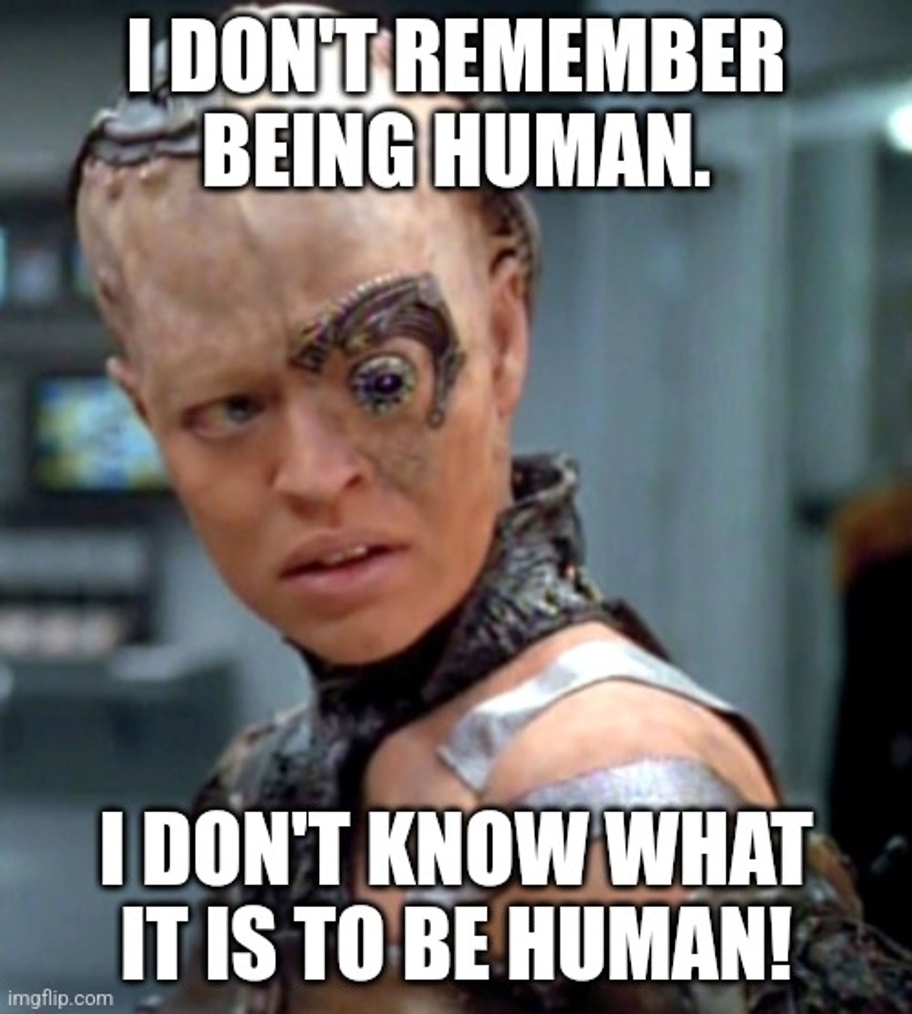 A picture of Seven of Nine from Star Trek Voyager, when the Doctor has first begun removing her borg implants. The caption is the quote; "I don't remember being human. I don't know what it is to be human!"