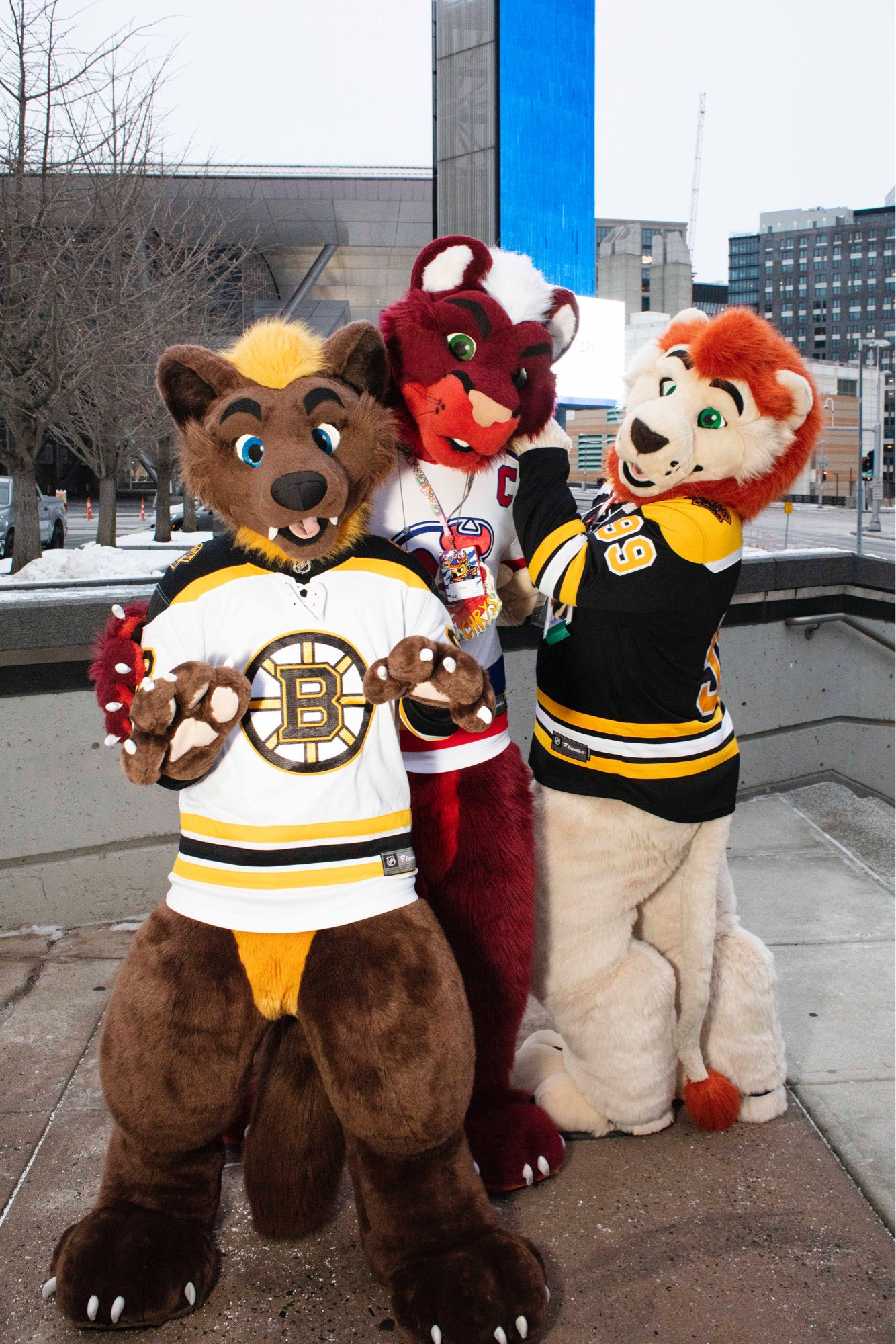 A lion, marten, and puma fursuit in hockey jerseys