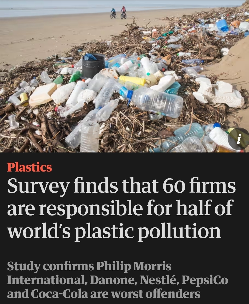 https://www.theguardian.com/environment/2024/apr/24/survey-finds-that-60-firms-are-responsible-for-half-of-worlds-plastic-pollution?CMP=Share_AndroidApp_Other