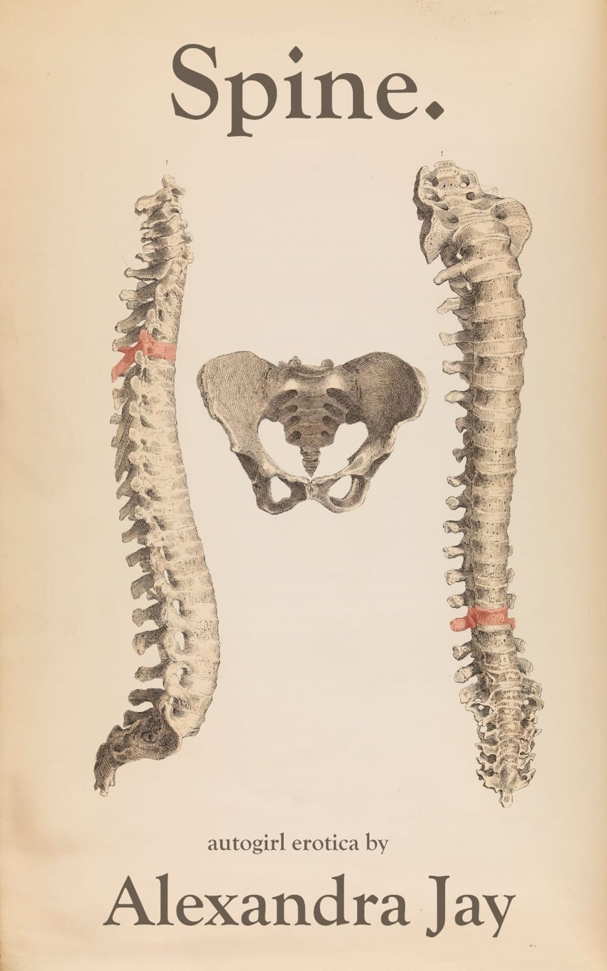 Cover for Spine. an autogirl erotica by Alexandra Jay. The cover is an old medical illustration of a pelvis and 2 spines, each of which has the T4 vertebra highlighted.