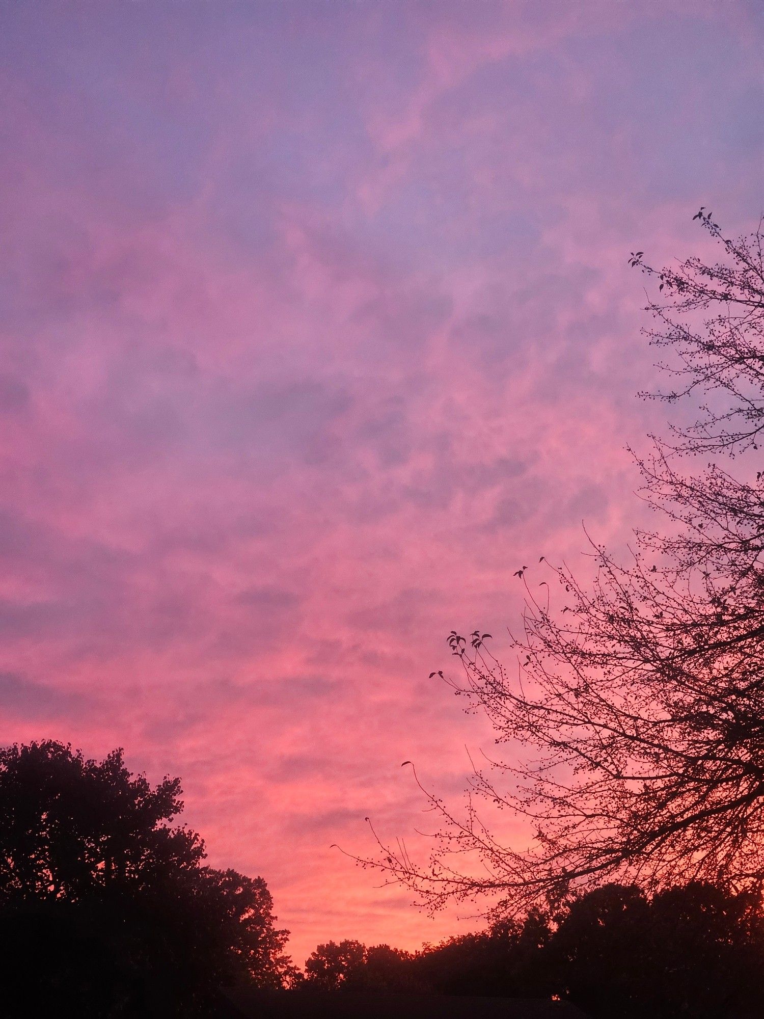 Photo of the sky at sunset.. a mix of blue, purple, pink, and orange with some trees in the foreground and background