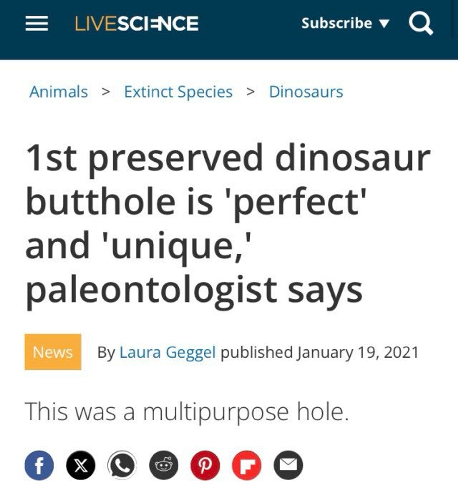 A screenshot of a news article detailing dinosaurs and their butts. It reads:

1st preserved dinosaur butthole is 'perfect' and 'unique,' paleontologist says
Written by Laura Geggel published January 19, 2021

This was a multipurpose hole.