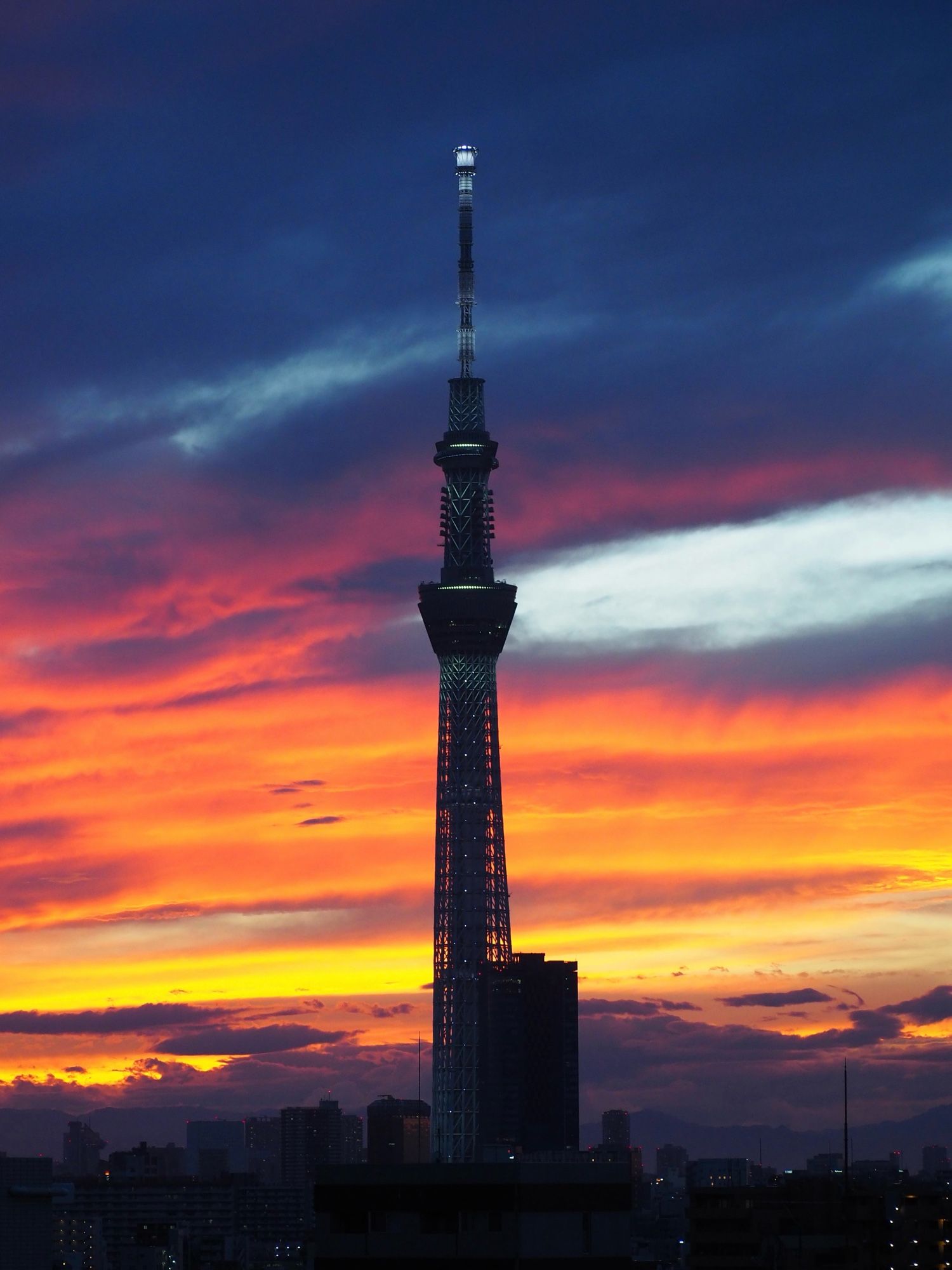 Tokyo Sky Tree with orange and purple sunset