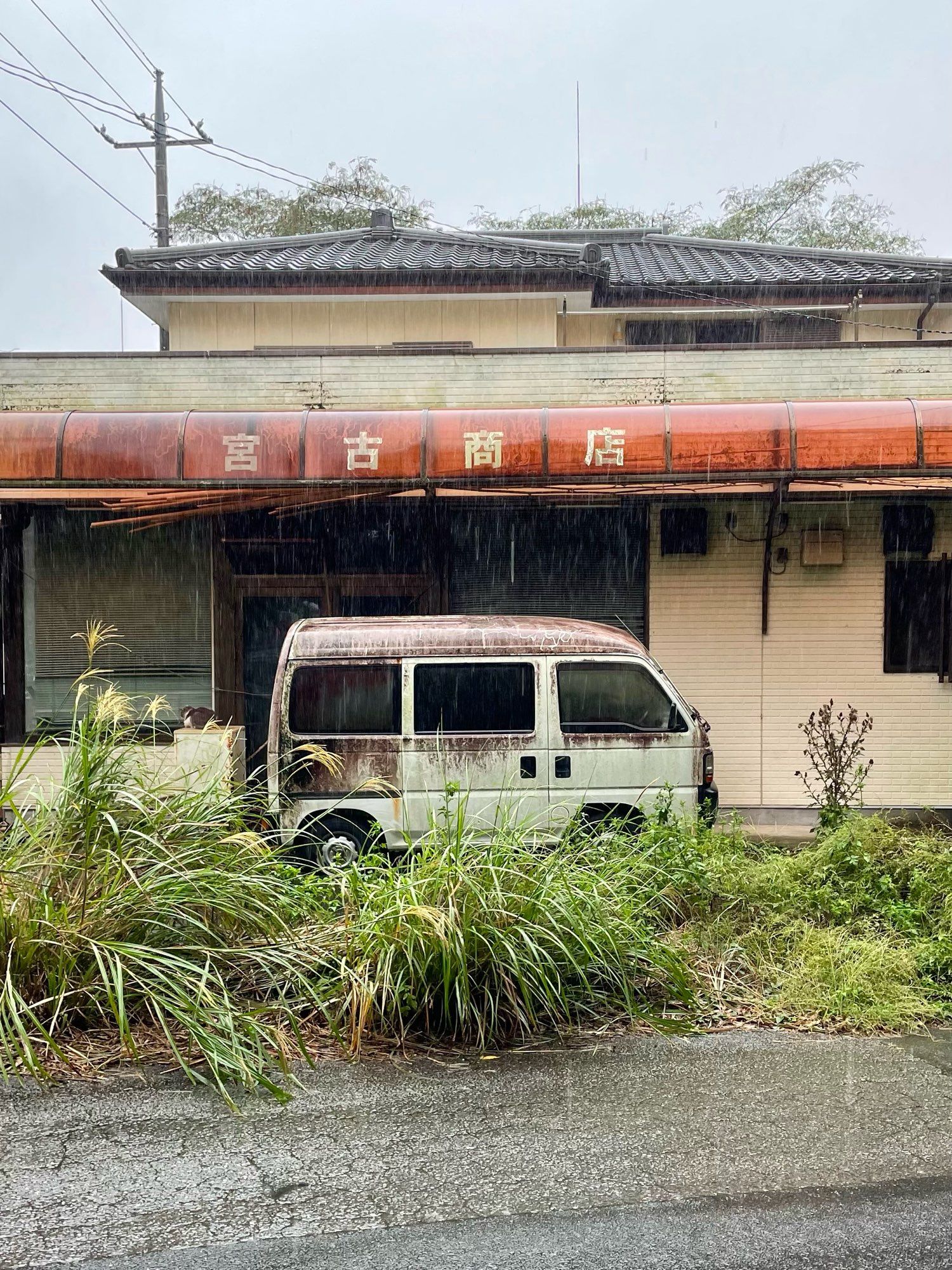 Miserable vista of long-shuttered shop and rusty van. A cat too, to be fair.