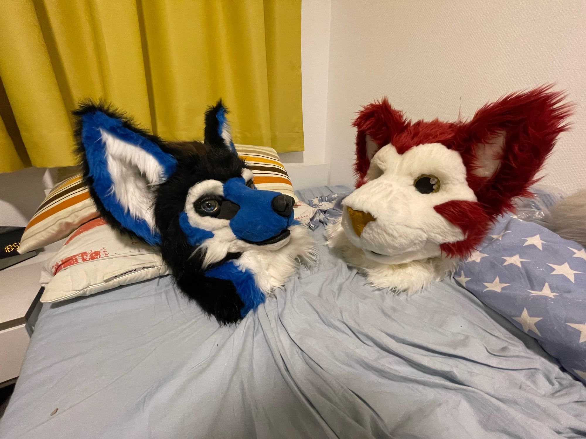 Two fursuit heads, black/blue wolf on the left and red/white tiger on the right sitting on a bed next to each other facing the other. It look like they are chatting.