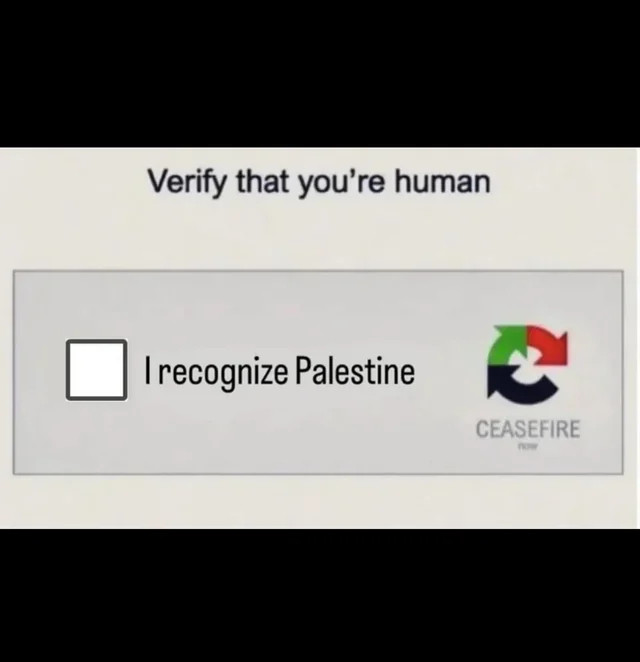 Screenshot of a captcha asking to "Verify that you're human". The checkbox reads, "I recognize Palestine". To the right is a logo with the words "CEASEFIRE now".