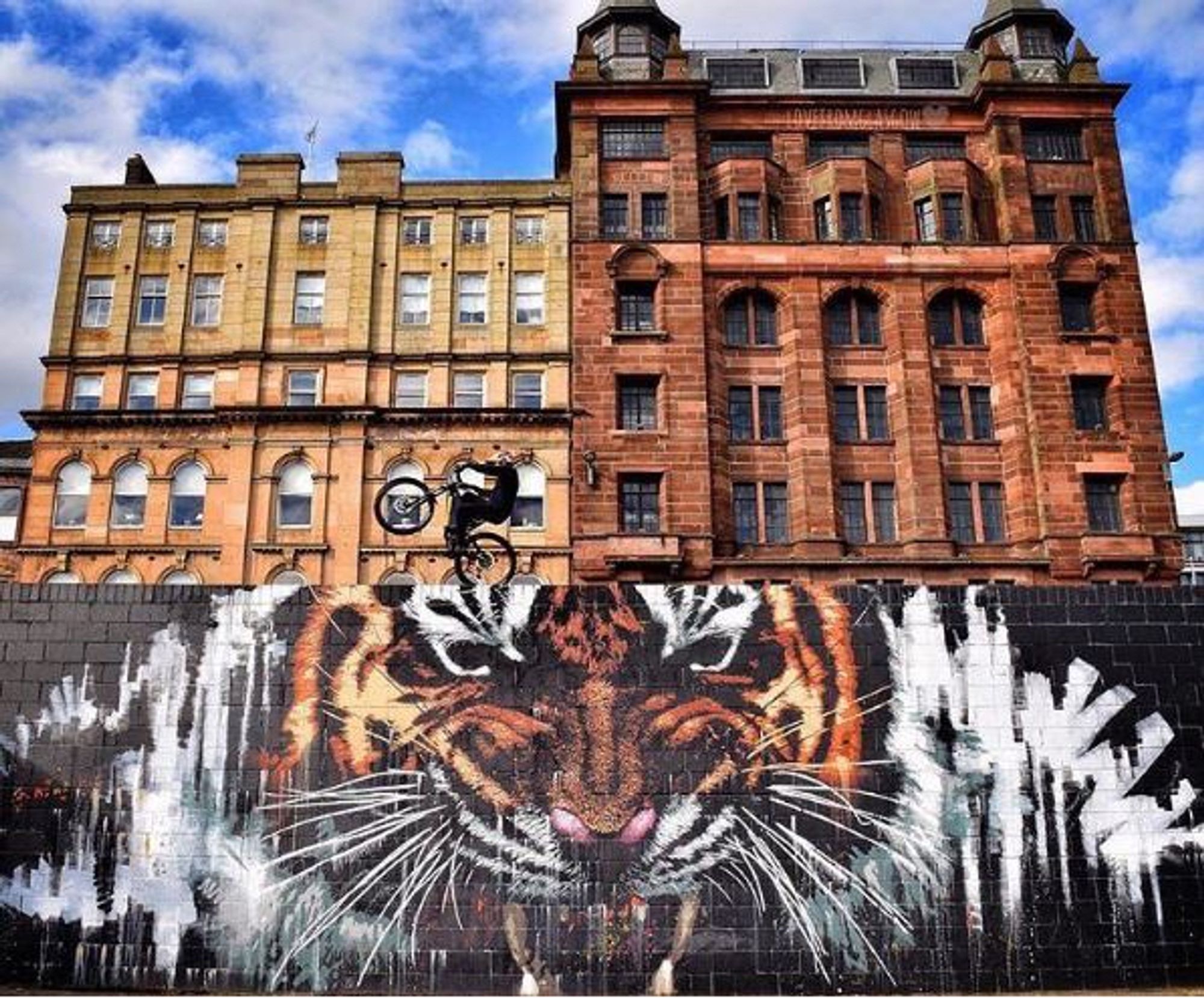 Street art in Glasgow