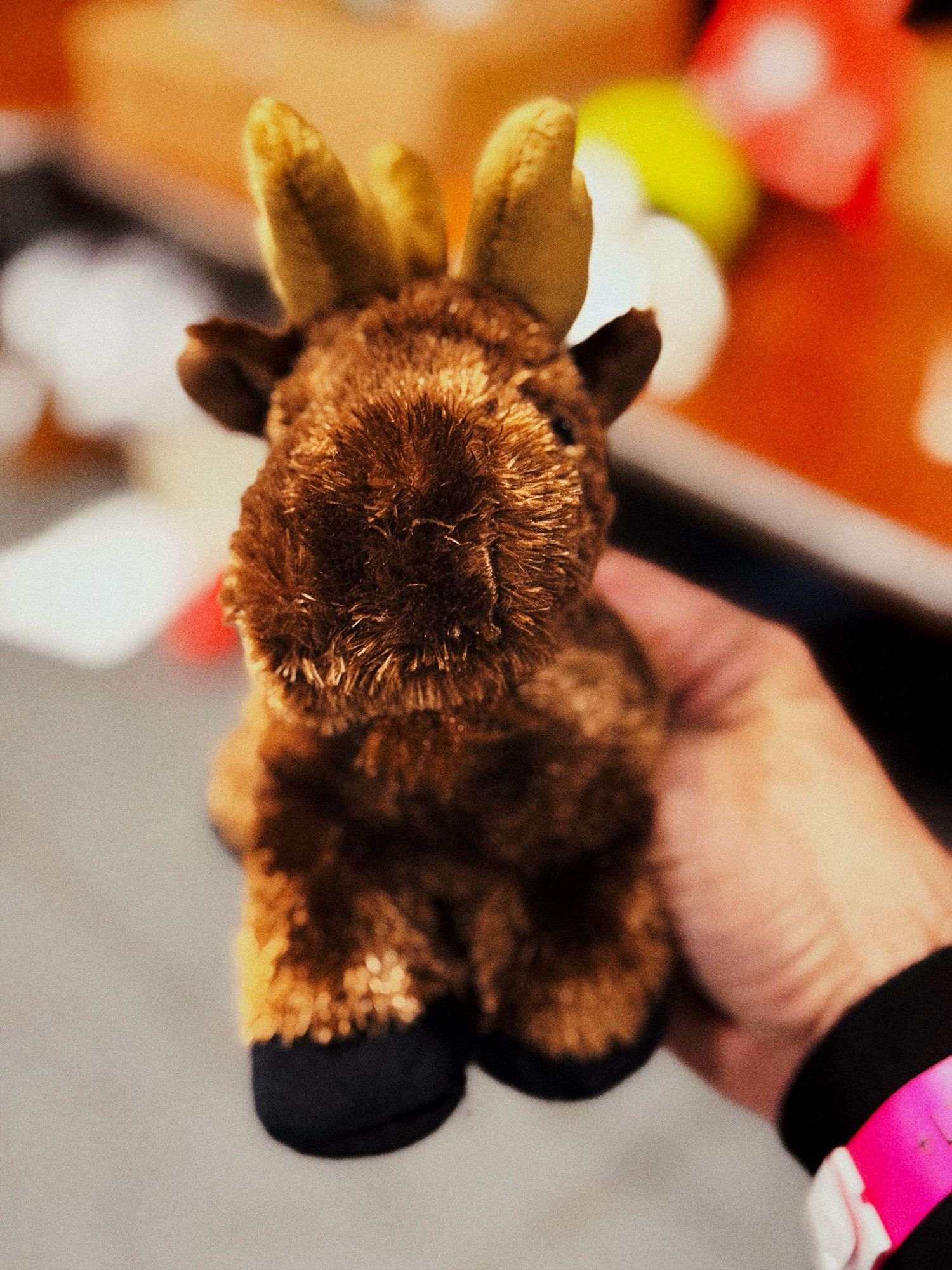 A small plushie deer someone gave me