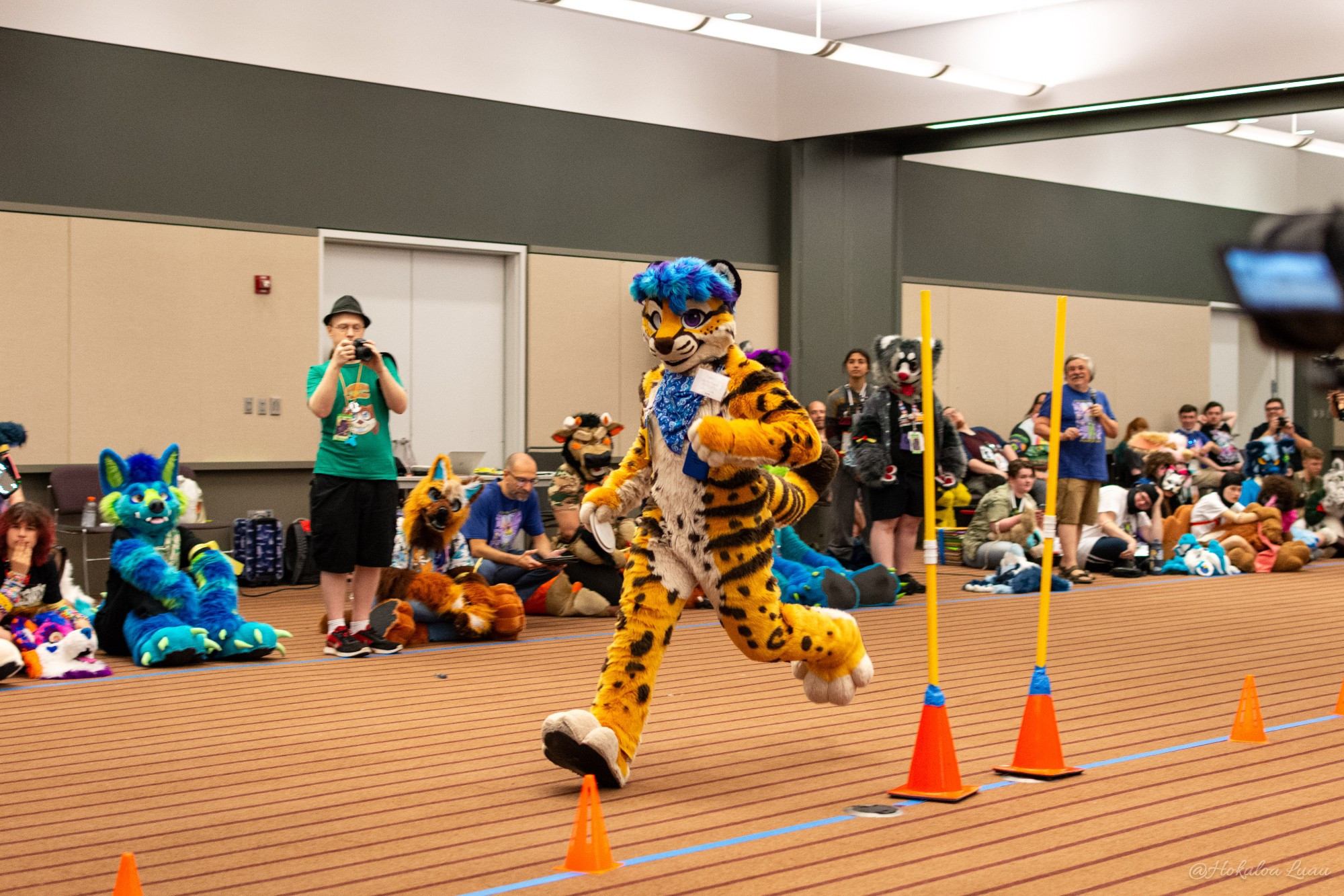 A cheetah fursuiter with blue hair and bandana around its neck running along a row of pylons at the Anthrocon 2023 fursuit games, with several fursuiters and attendees watching in the background on the floor and standing up.