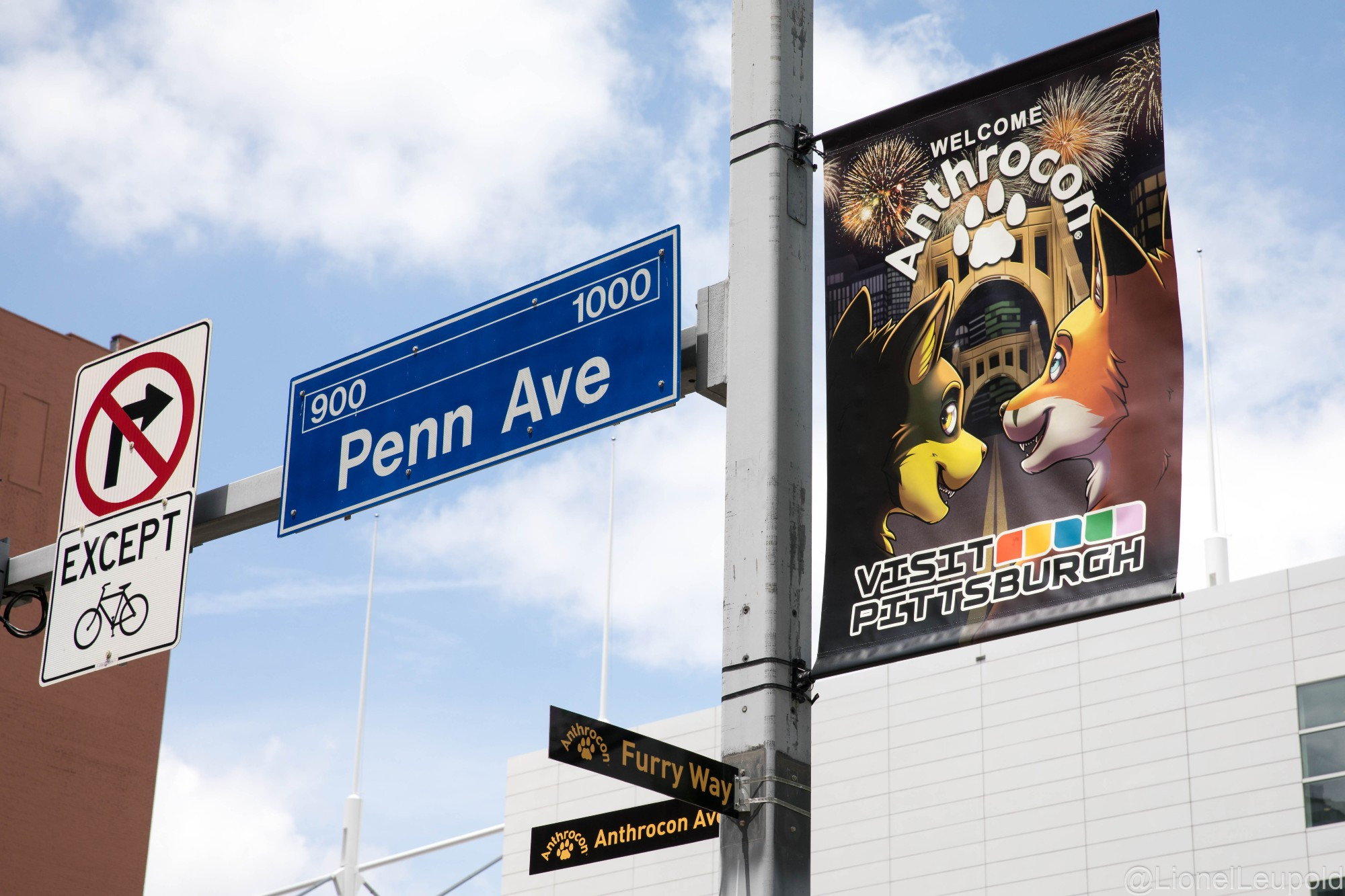 A photo of the street pole at 10th Street and Penn Avenue in Pittsburgh, showing the Penn Avenue street sign and an Anthrocon banner hanging beside it. Below, the decorative street signs for Anthrocon Avenue and Furry Way.