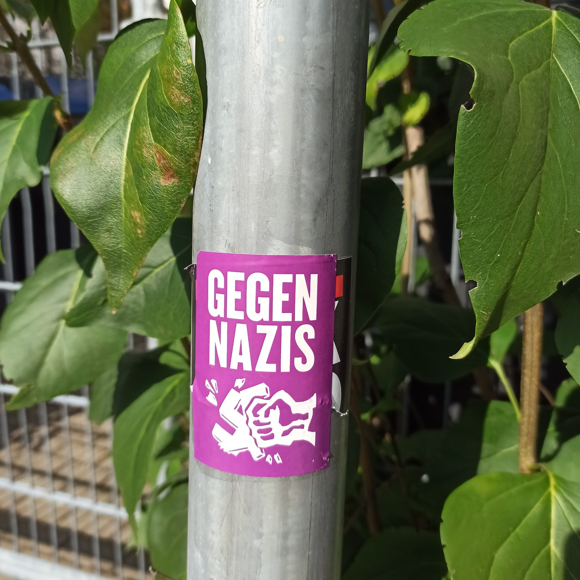 Sticker auf Laternenmast Darauf ist eine Faust zu sehen die ein Hackenkreuz zerschlägt zu lesen ist Gegen Nazis