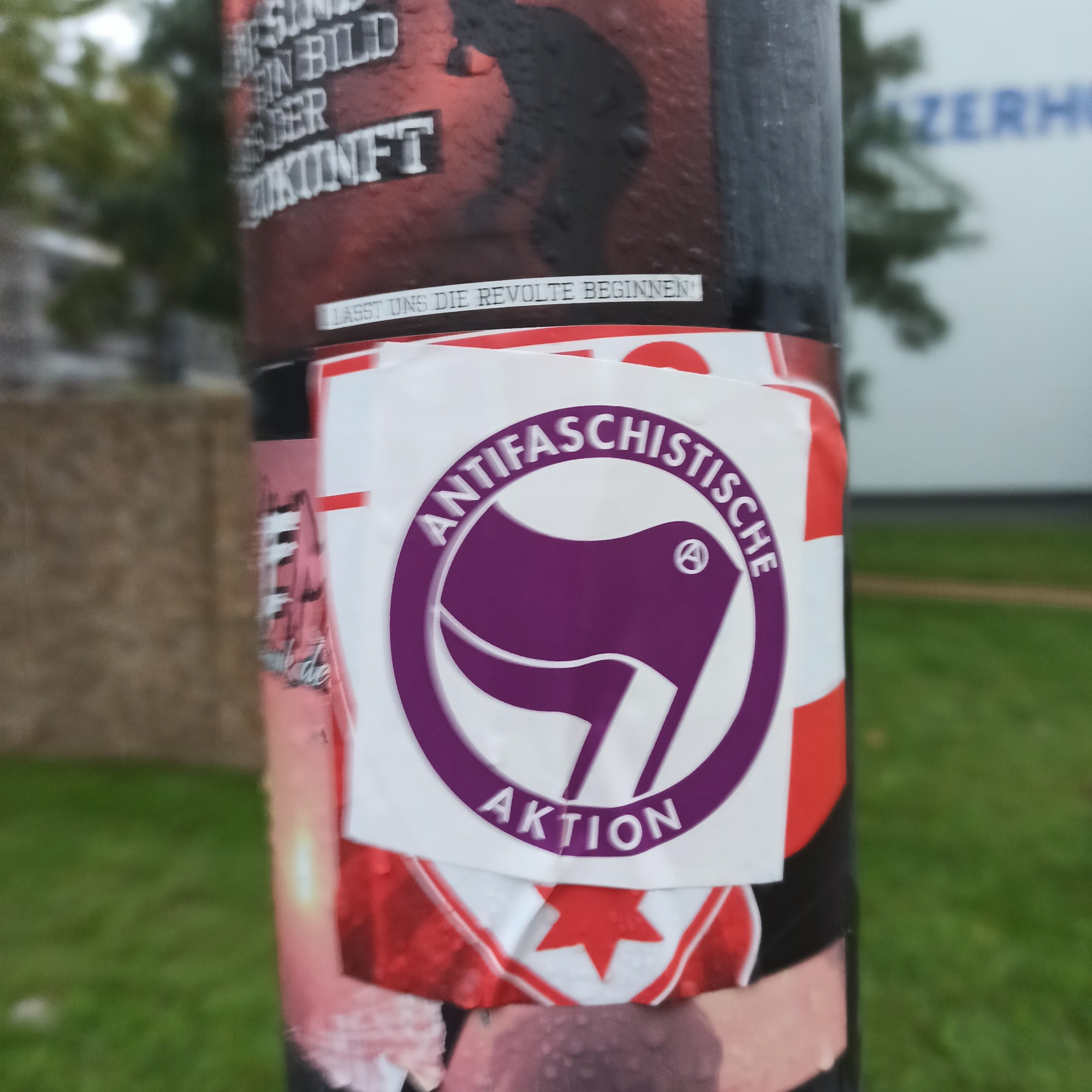 Foto eines Stickers an einem Laternenmast Der Sticker ist pink Zu sehen darauf ist das Symbol der Antifaschistischen Aktion. Was auch darauf zu lesen ist.