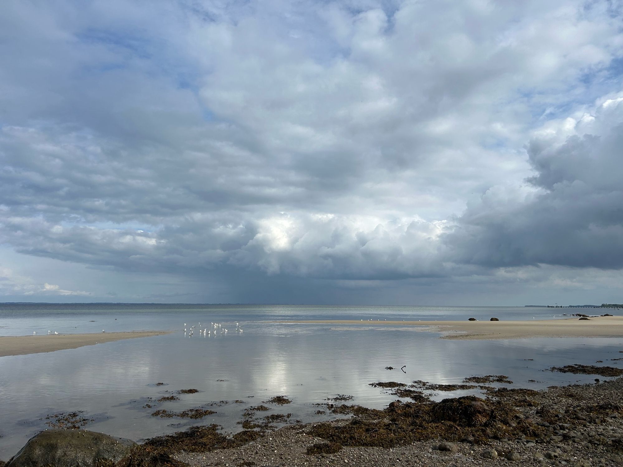 Blick vom steinigen Strand aufs ruhige Meer mit Sandbänken, Vogelgruppe im flachen Wasser, bewölkter Himmel, der sich im Wasser spiegelt, mystische Stimmung