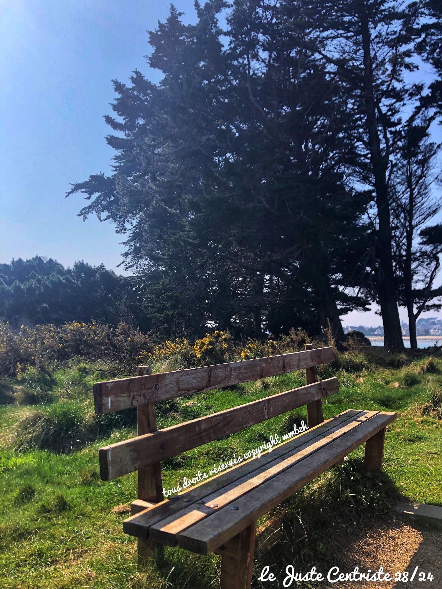 #SundayBench
#BancDominical 28/24 
#SonntagsParkBank 
#Bretagne 

Bon Dimanche à Toutes et tous 🙏