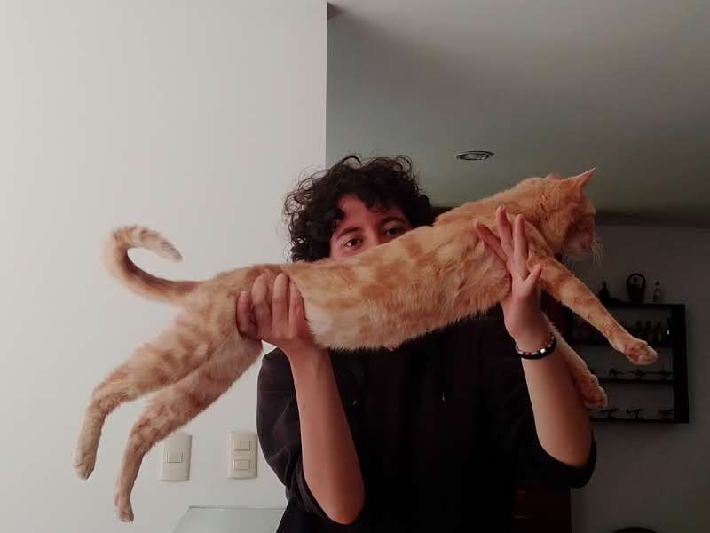 My sister holding my long cat