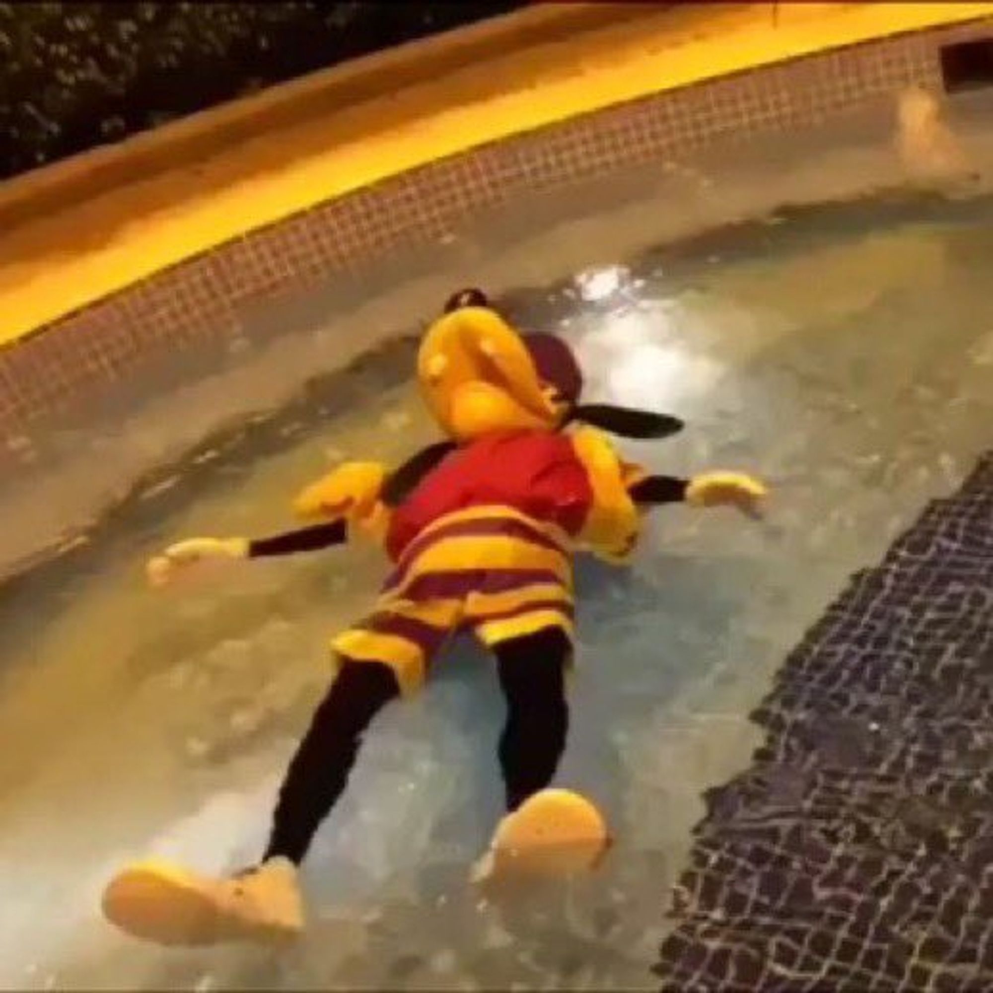 a still of the goofy floating in water .gif