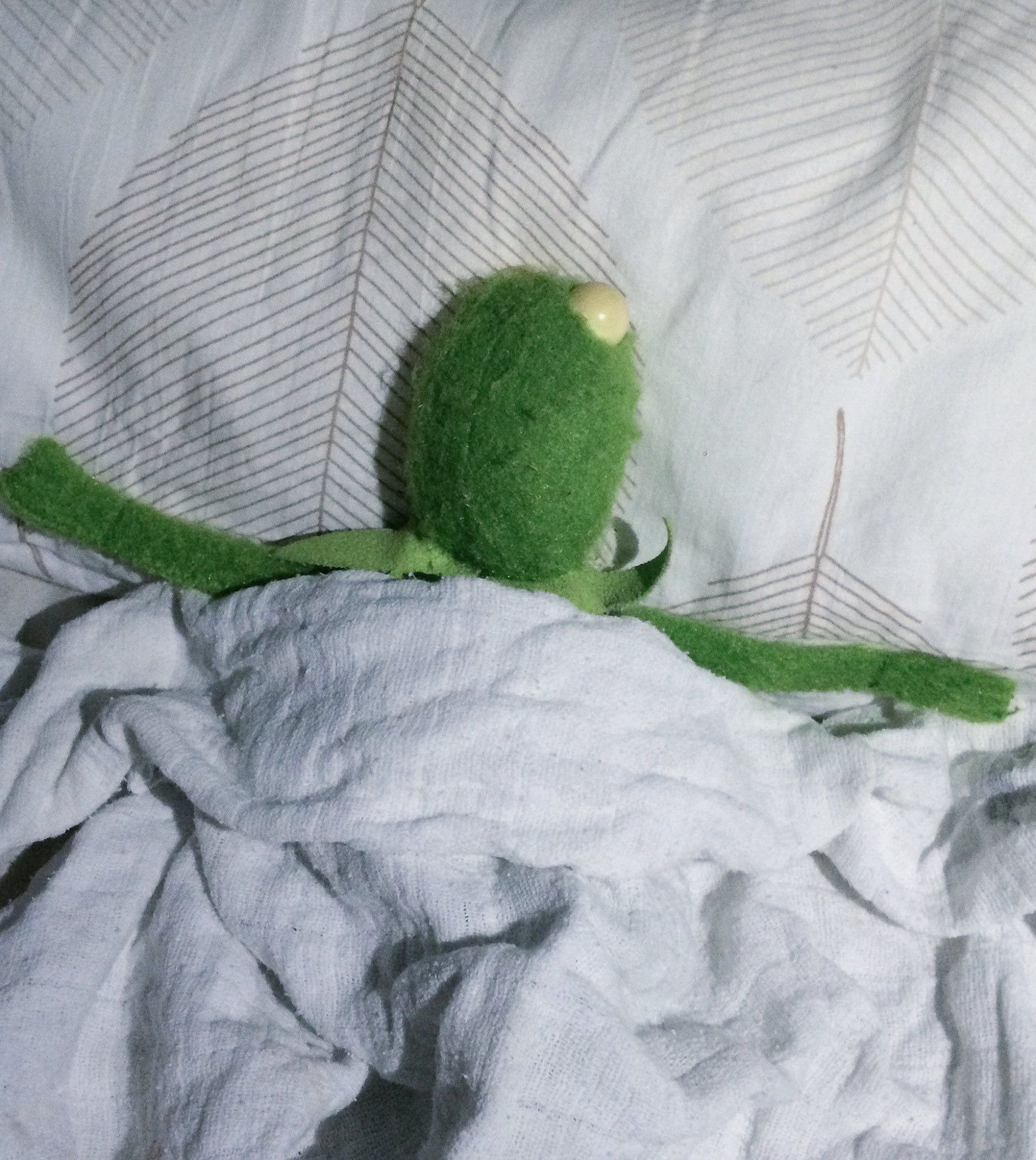 a photo of a busted kermit puppet in bed