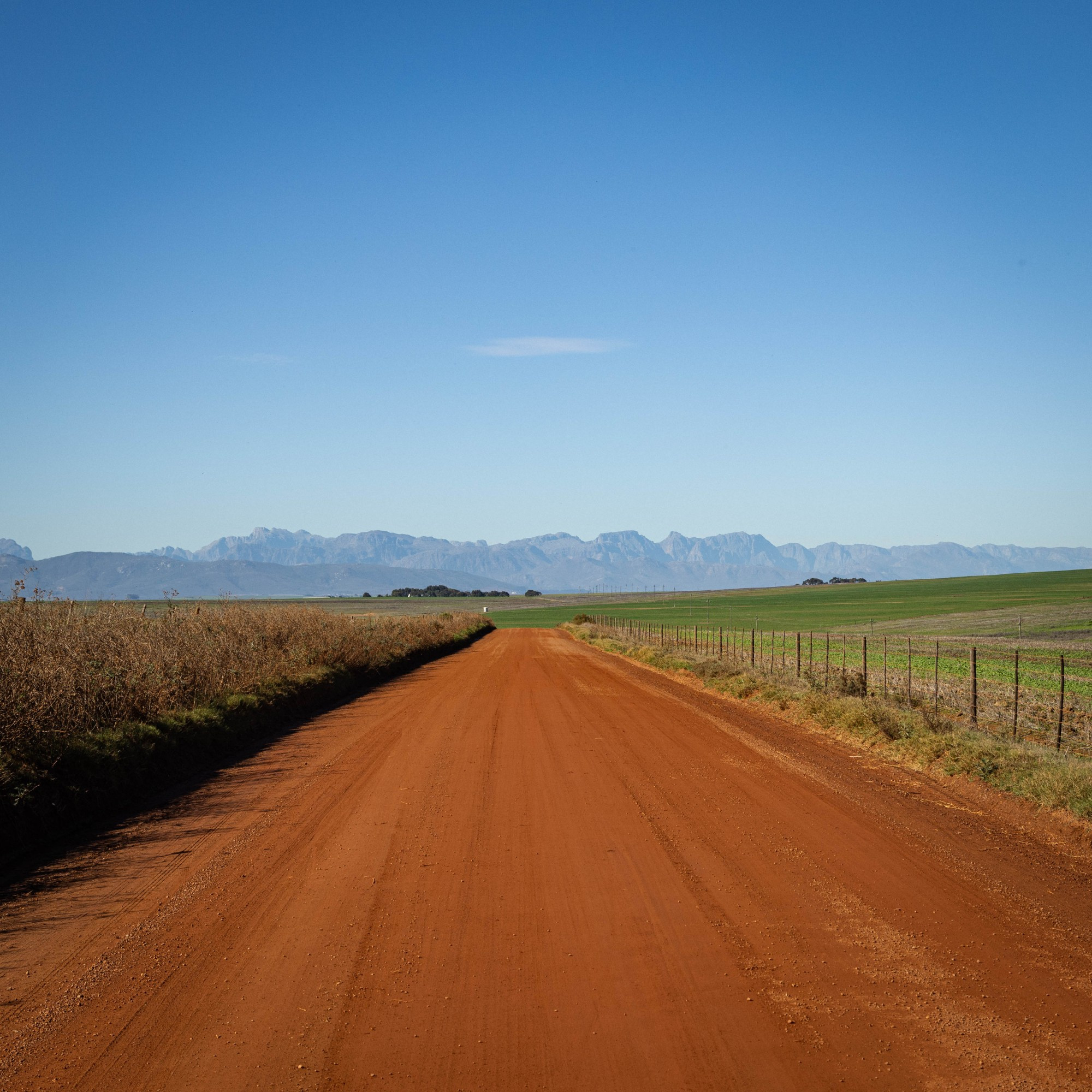 Looking east on Occultdale Road, north of Durbanville, Cape Town