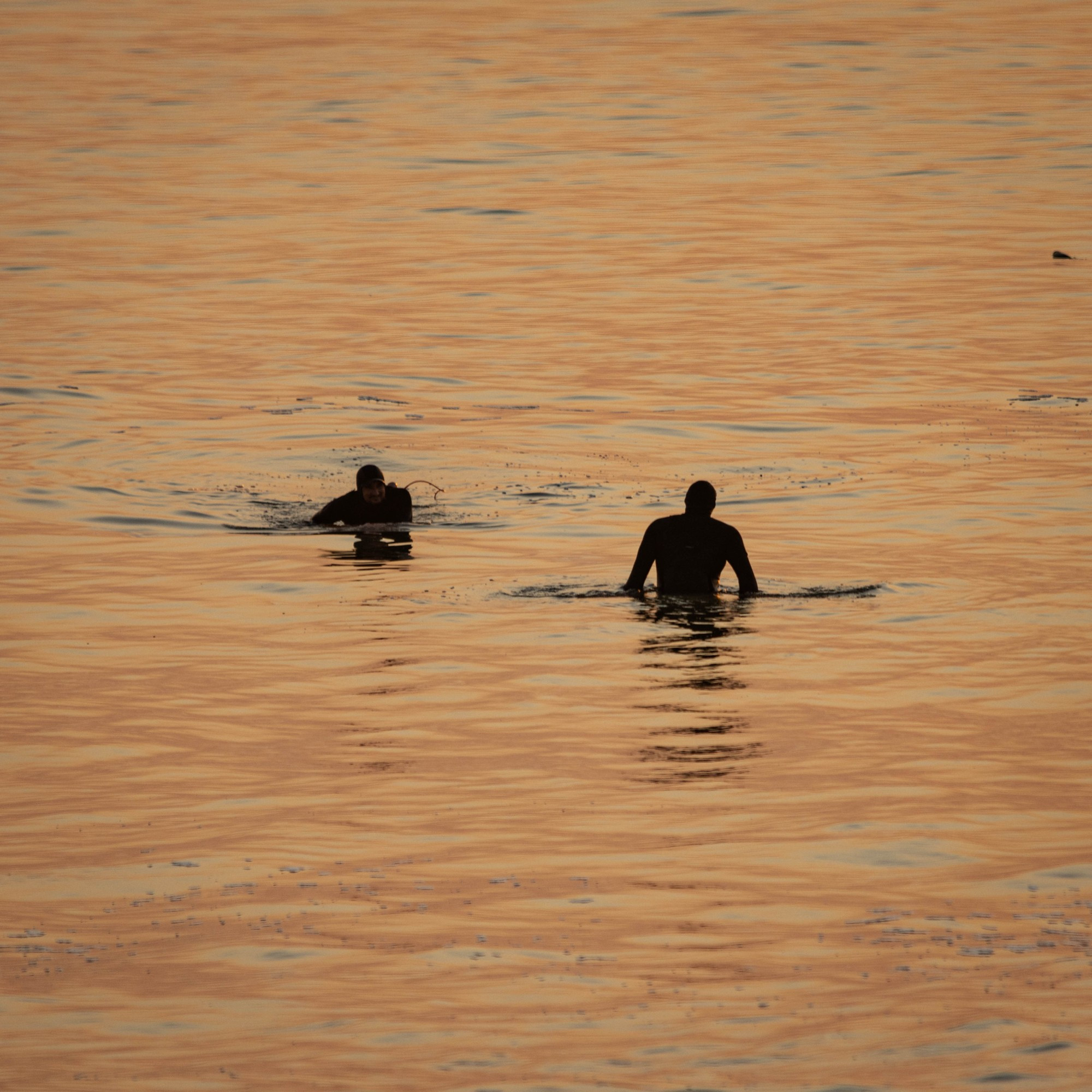 Two surfers waiting for the next wave, before sunset, off Milnerton Beach