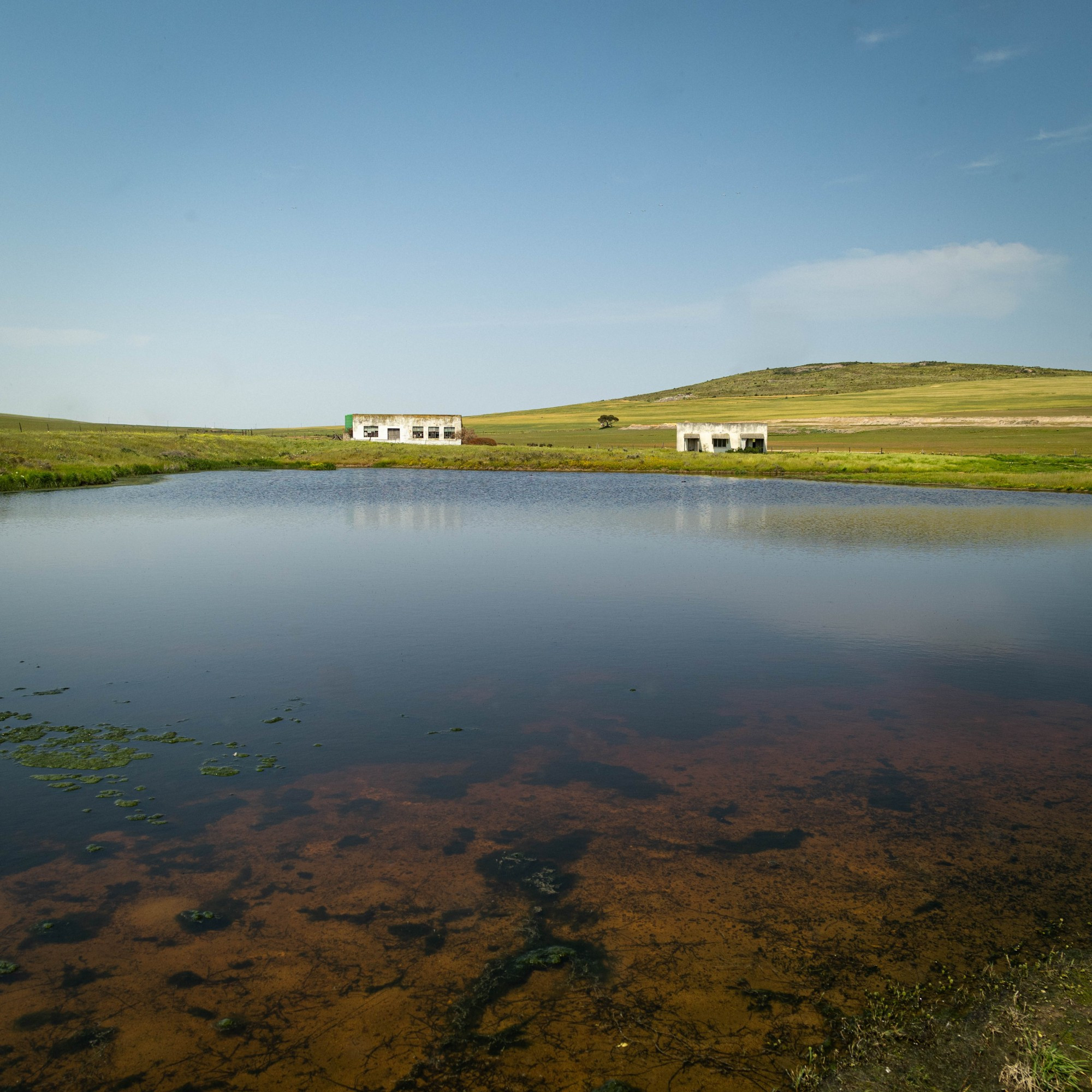 Looking south over the pond at the Tienie Versfeld Nature Reserve. Two abandoned buildings in green fields, below a hill. Mostly clear sky