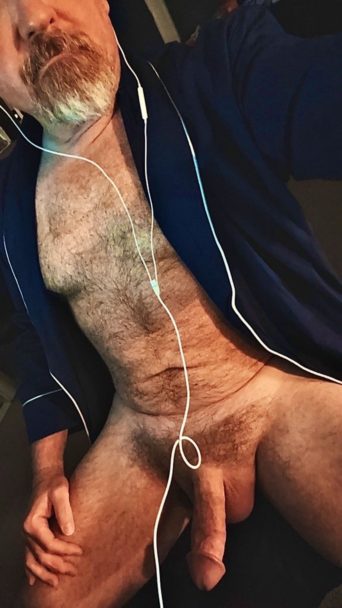 Furry naked Dad sitting in a chair wearing only a blue robe with white trim. Robe is open to reveal a hard fat cock while Dad takes a work call with headphones on.