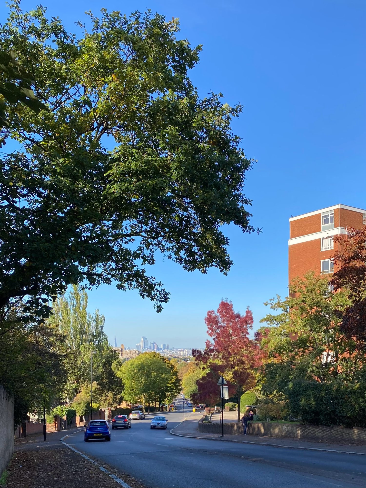 Image shows an urban street descending a hill. There are a handful cars on the road, which is shaded by a large tree protruding from the left of the photo. There are trees on both sides of the street, boasting leaves in a variety of greens, gold and red. To the right of a bend in the road, the top half of a brick tower block stands tall above the trees. On the horizon, we see distant city skyscrapers. The sky is bright blue, with no clouds in sight.