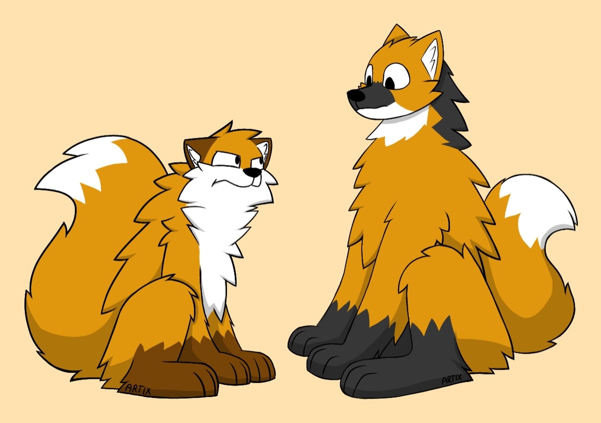 Fox looking at the maned wolf with suspicion