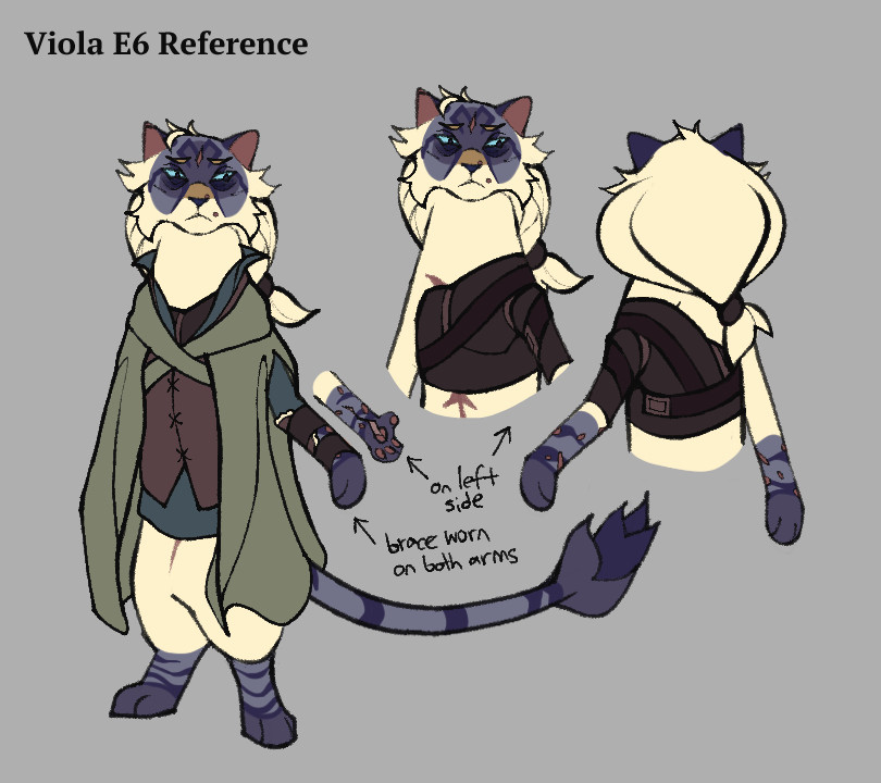 A reference sheet of my catfolk character in a DnD campaign at the start of her final adventure. Viola is a lynx point wearing a dull green cloak with circular scars on her face and arms. She wears arm and back braces. She's visibly disheveled with deep eyebags and sunken cheeks.