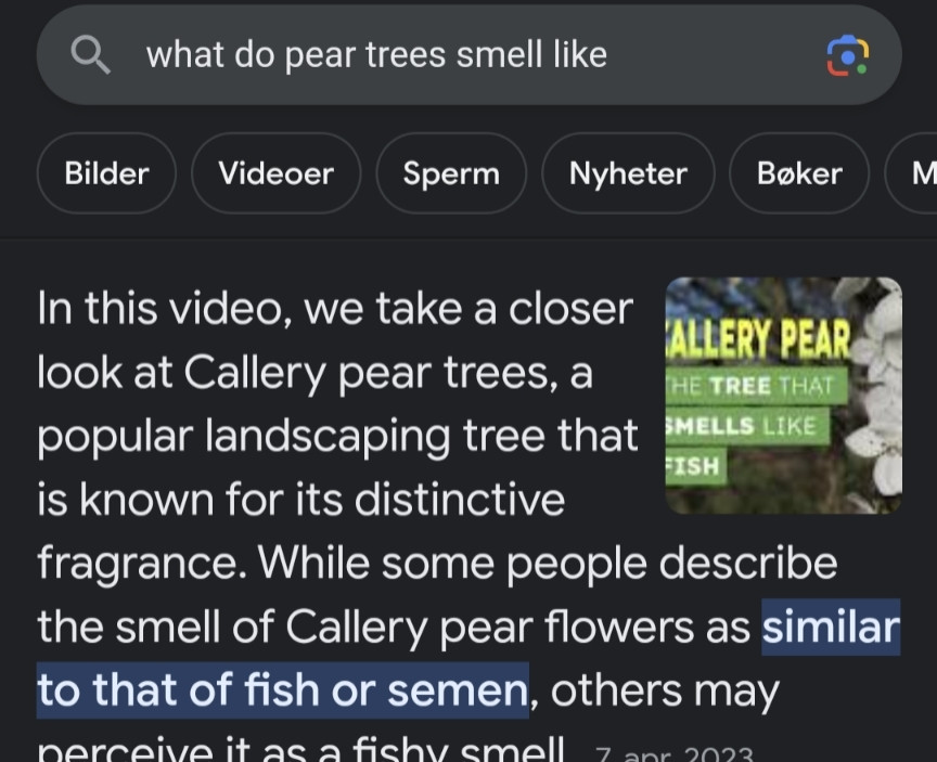 Picture of me searching for what pear trees smell like, apparently they smell like semen