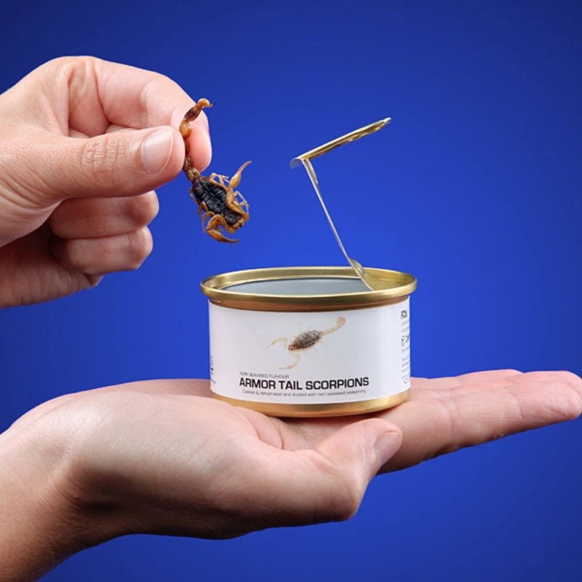 A tin can of Armor Tail Scorpions, with a hand holding a sample of the scorpions inside. It’s…food?