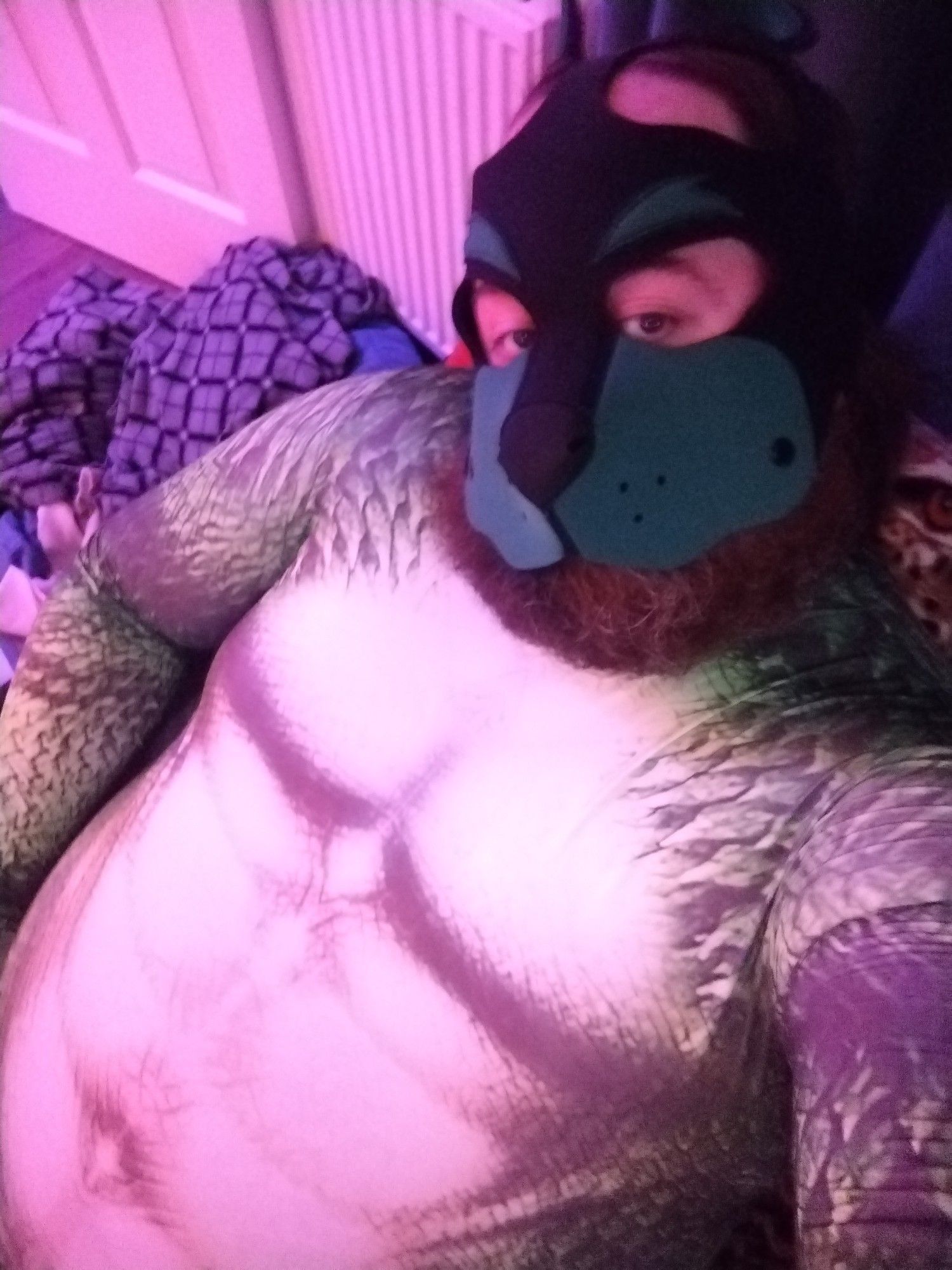 Me wearing my pup hood and petsuit