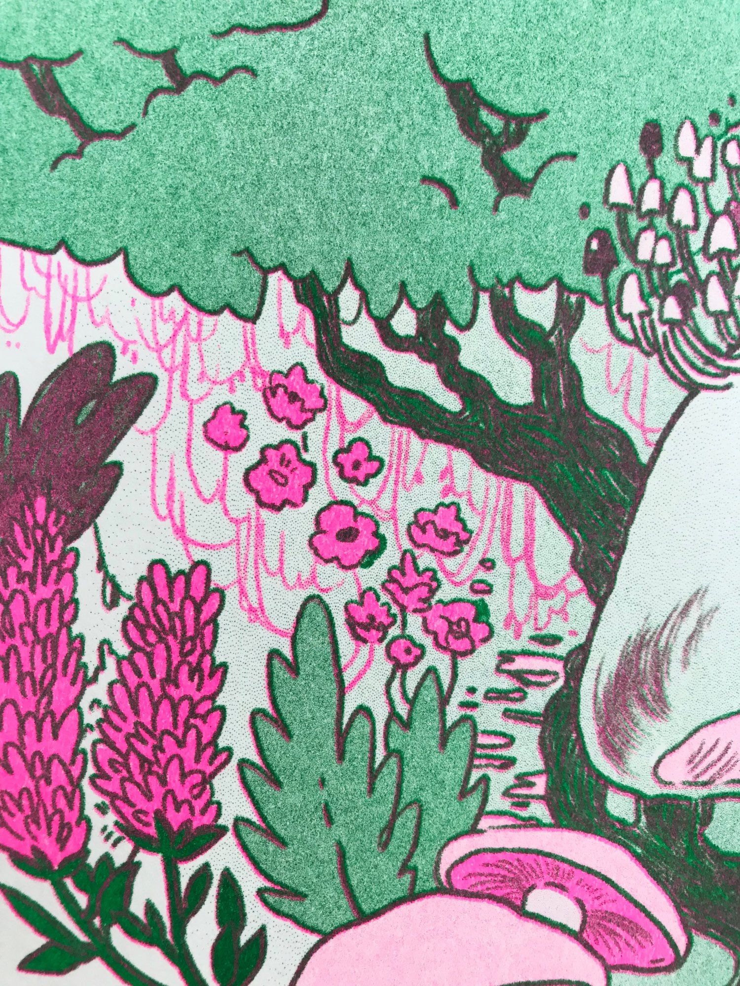 close up of pink and green riso print