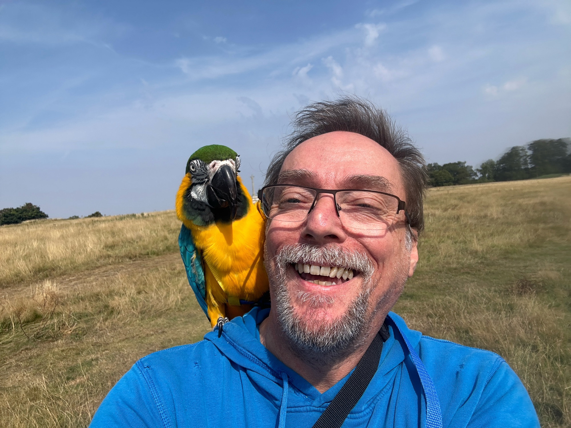 A blue and gold macaw parrot on the shoulder of a middle aged smiling man in a field on a hillside. The parrot is wearing a harness.