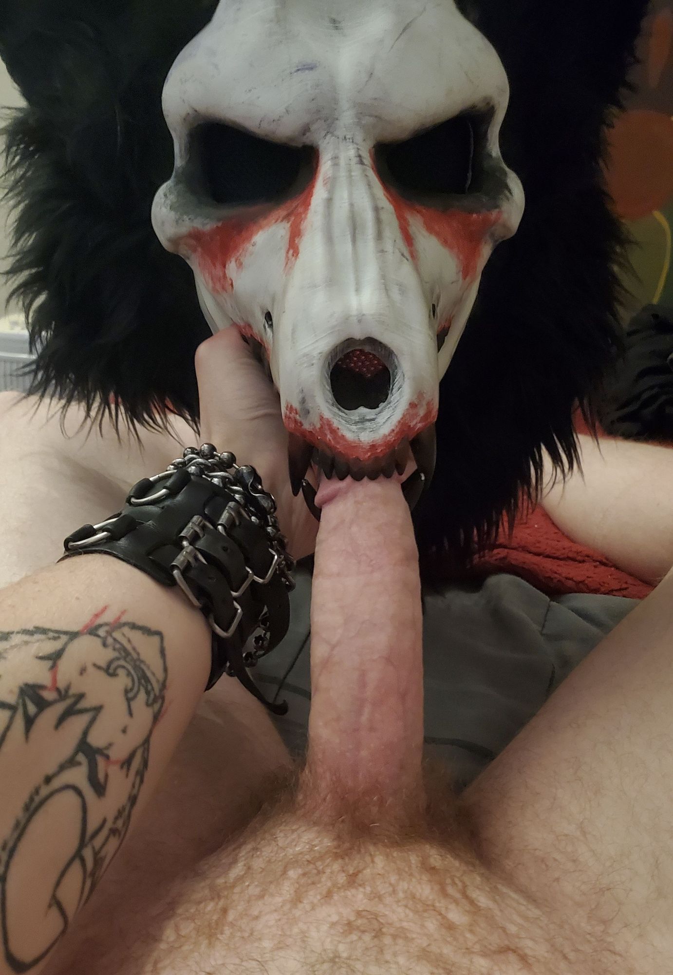 #fcf, #murrsuit, skulldog fursuit giving a blowjob I dunno