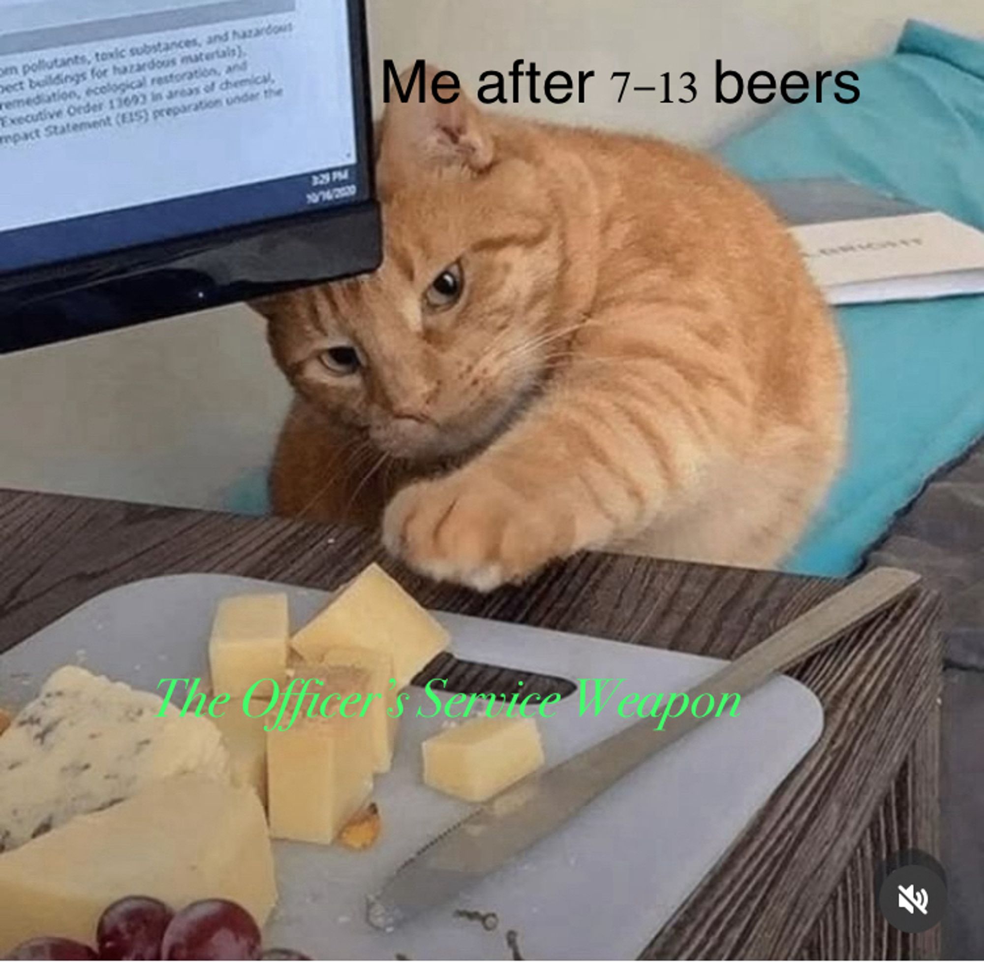 A very cute and chubby orange cat labeled “me after 7-13 beers” reaching for a cheese board labeled “The Officer’s Service Weapon”