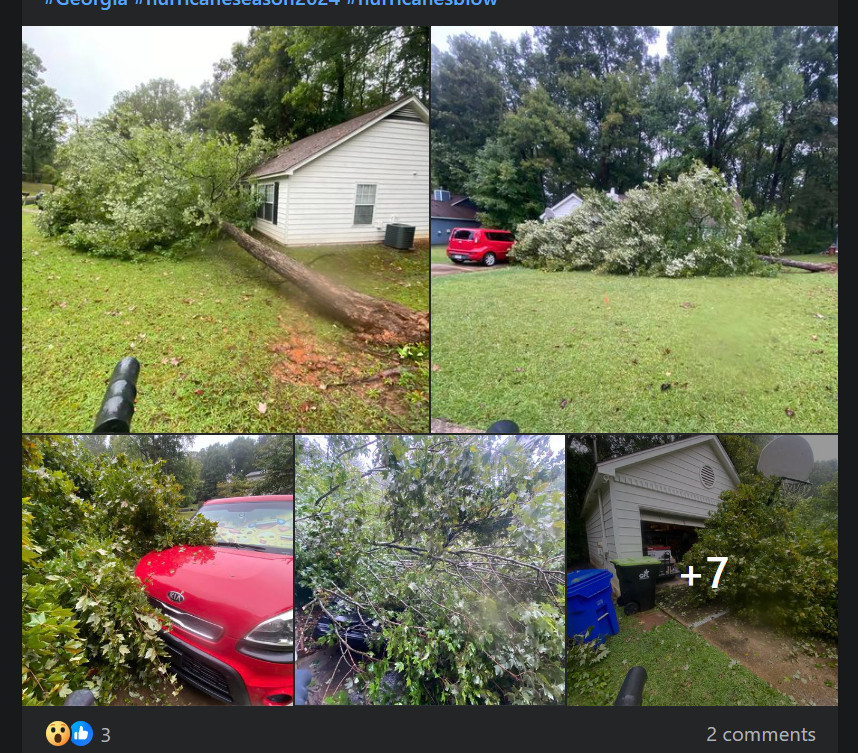 Five photos of a vast green yard bordering a row of trees. There is a tan house with a large tree laying in front of it that almost hit a red car sitting in the driveway. Photo shows the scene from different angles.