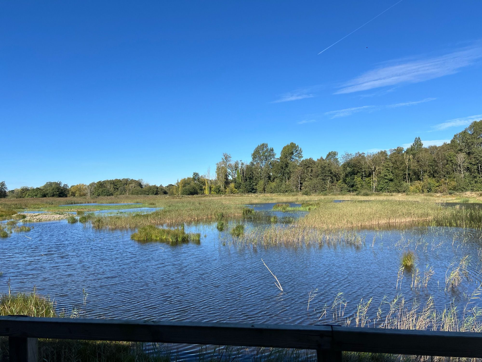 Blue sky over a flooded landscape - the water is very rippled but as blue as the sky