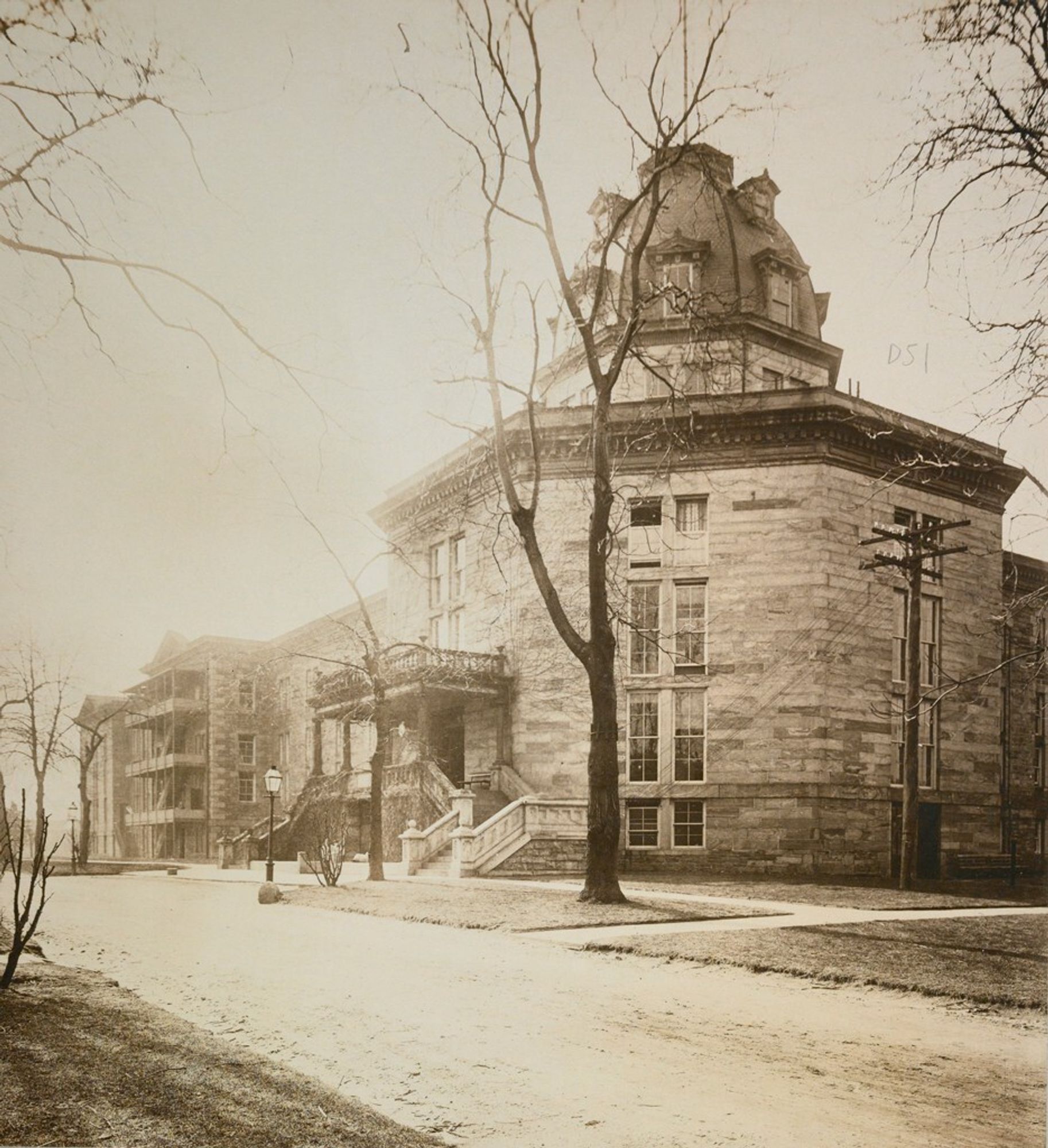 Harvard Art Museums/Fogg Museum, Transfer from the Carpenter Center for the Visual Arts, Social Museum Collection