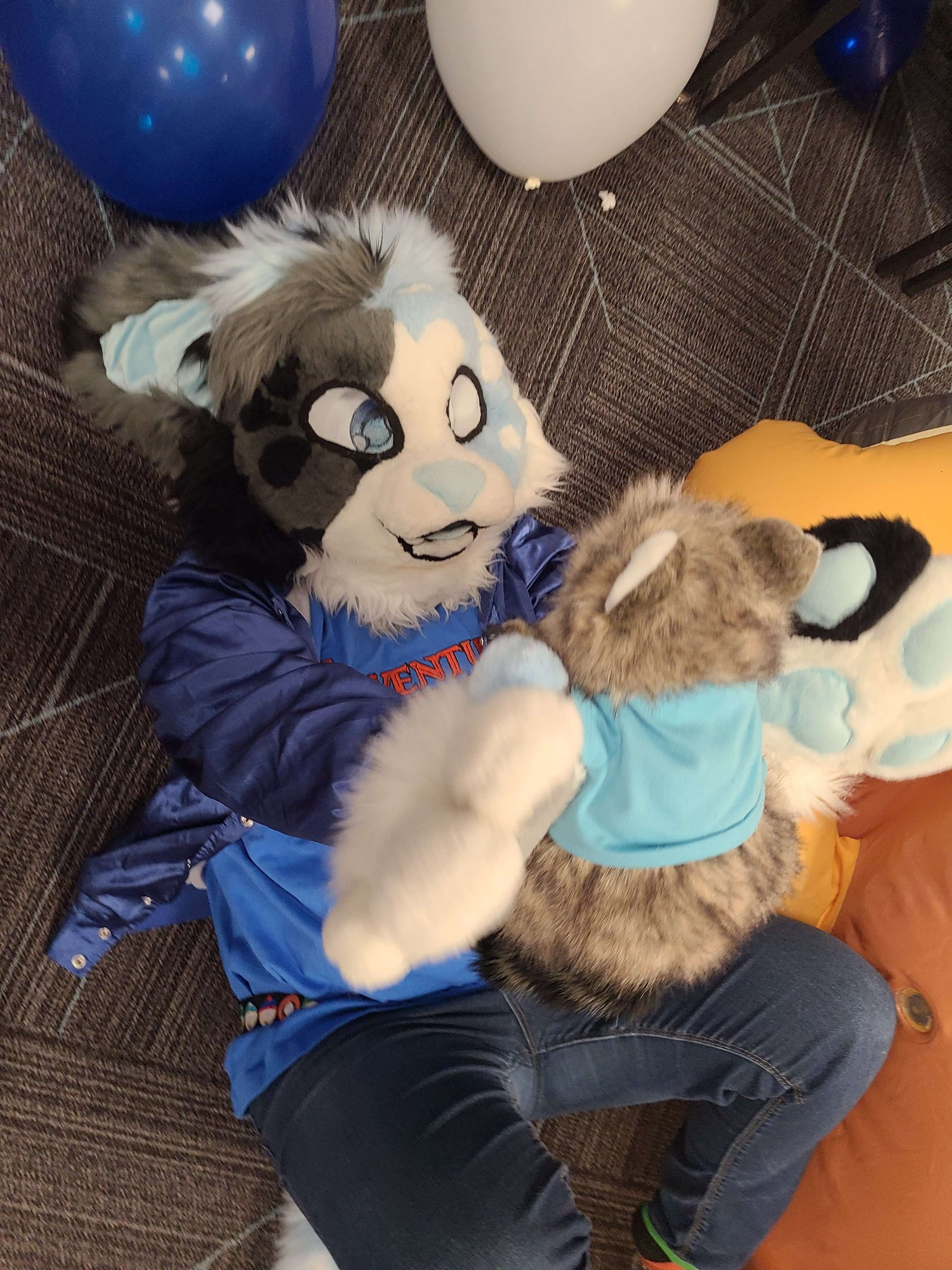 Blue dog fursuit lying on the ground holding a raccoon plush up in the air