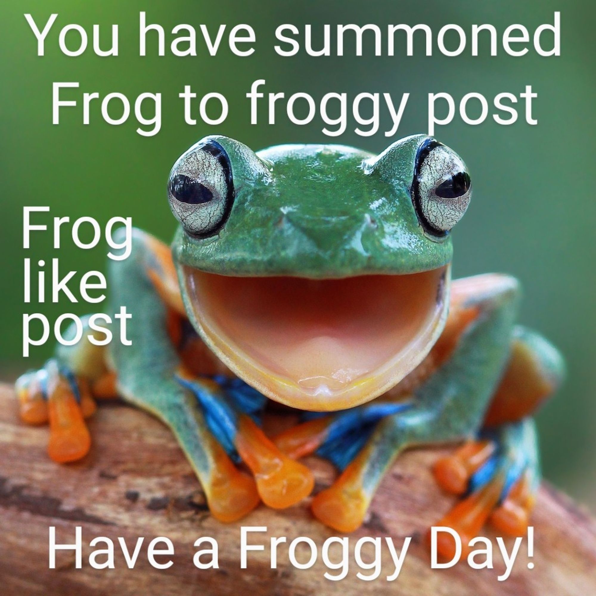 This is a frog meme with a picture of a frog and text that says, "You have summond Frog to froggy post. Frog like post. Have a Froggy Day!"