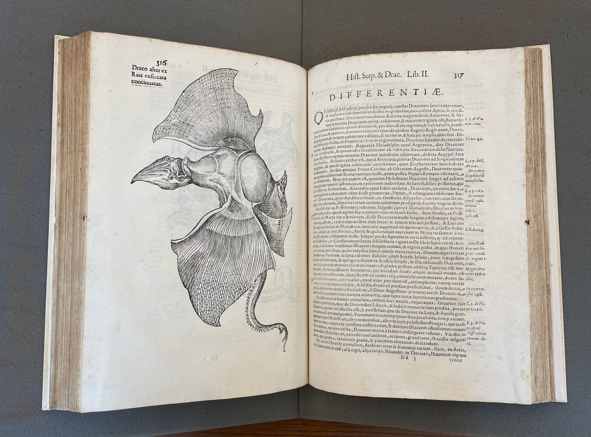 Serpentvm, et draconv[m] historiæ libri dvo (Two Books on the History of Serpents and Dragons) (1640) by Ulisse Aldrovandi, open to a page of text on right and a full-page illustration of a dragon-like creature on left.