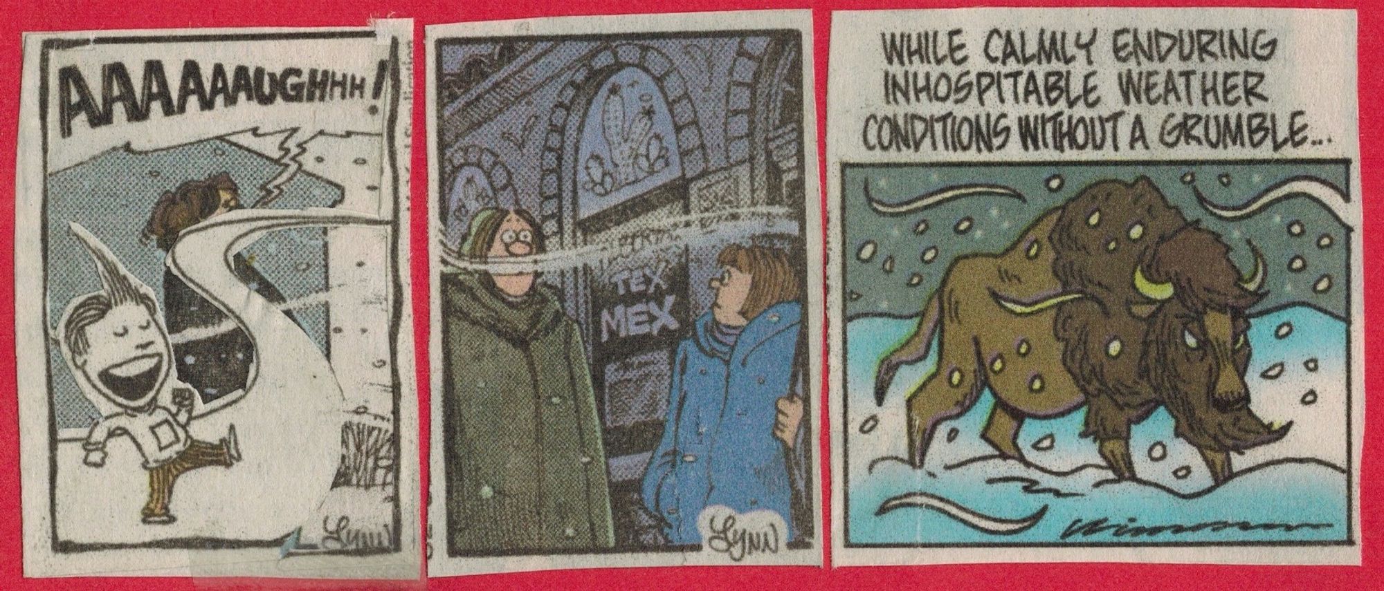 Three panel comic, left to right: Lio walks up happy path over the screaming in the snow I MEAN what Tex Mex whiff wafts thru this central panel of two women in parkas in a moment of realization I MEAN the bison in winter, "While calmly enduring inhospitable weather conditions without a grumble."

#art #artsky #comics #collage