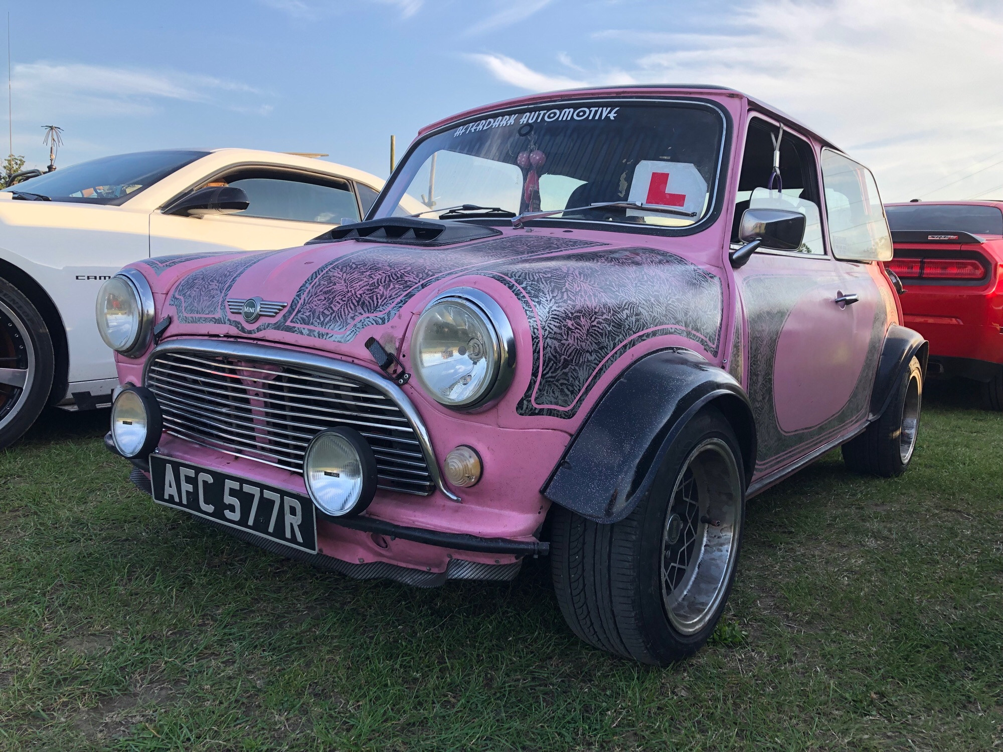 Well I never, it’s #minimonday again already with this wild pink #Mini1000 seen a few weeks ago. Do you like? Goof mooning - http://miniphernalia.co.uk