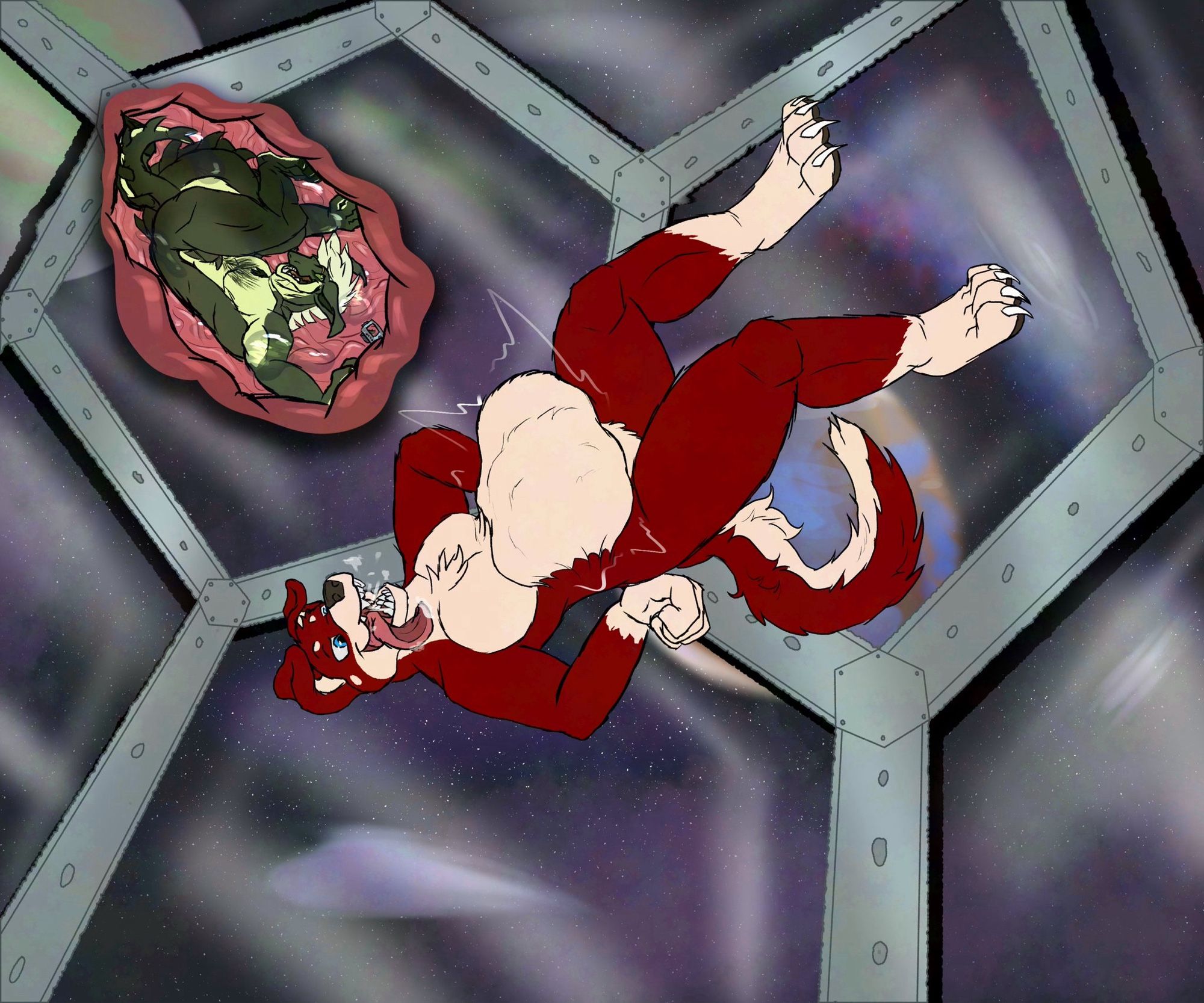 A large anthro red dog suspended in zero gravity aboard a space station. His gut bulges with a recently devoured smaller green lizard, kept safe inside his stomach walls.