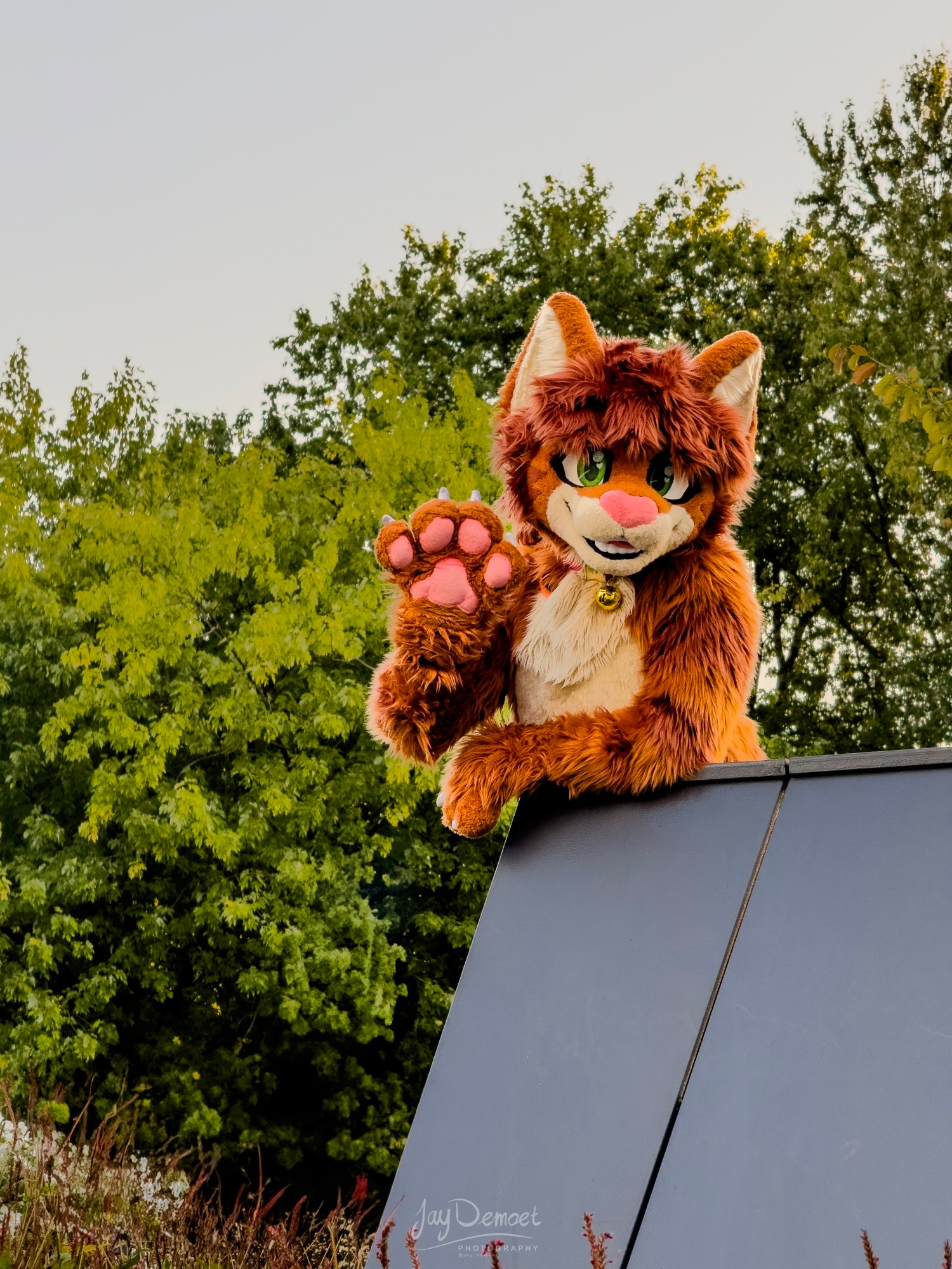 An orange cat fursuiter (Denni) waving at the camera