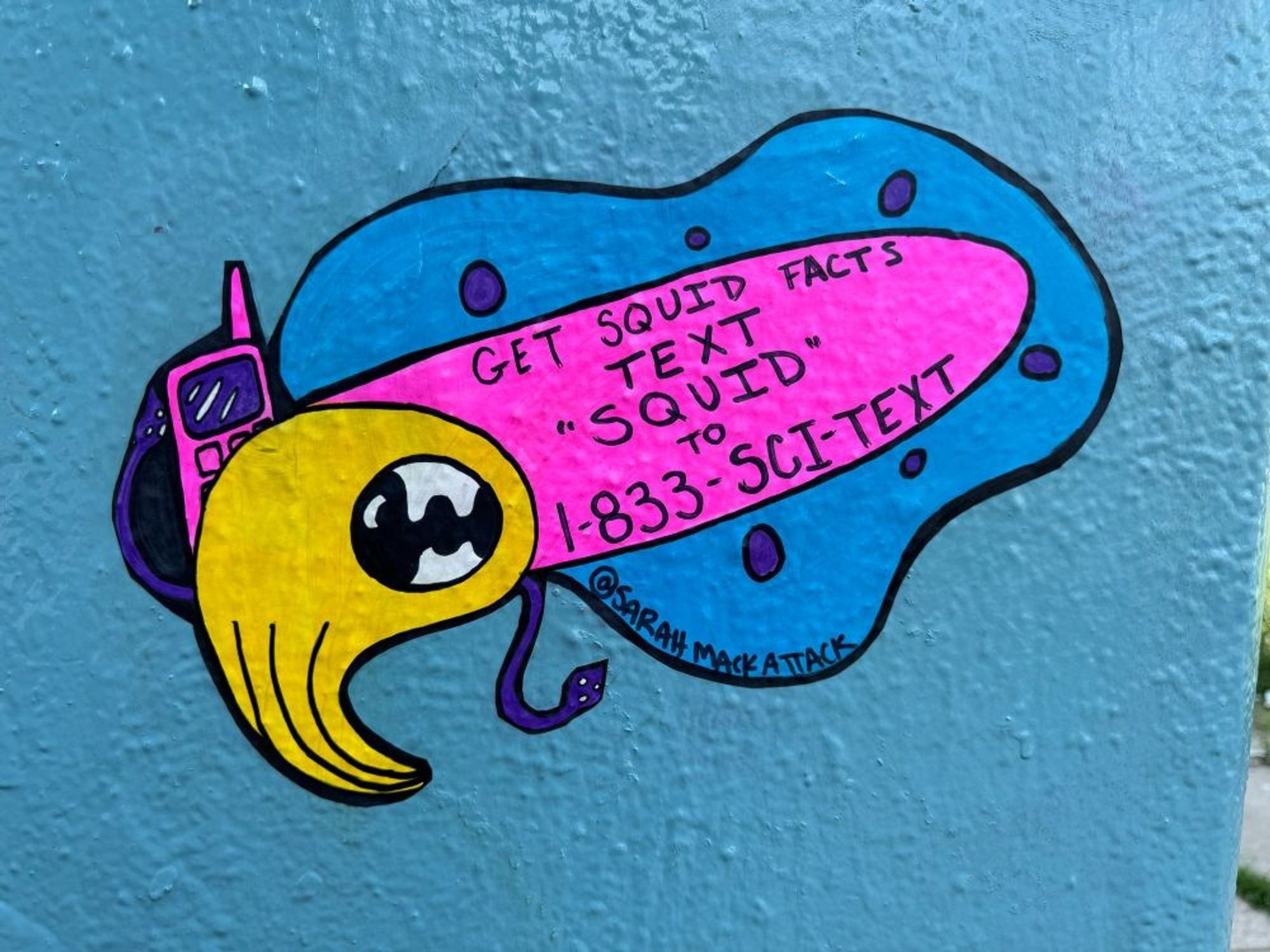 a wheatpaste on a teal wall with a reef squid that's holding an old fashioned phone. The reef squid's mantle says "Get Squid Facts text SQUID to 1-833-sci-text"